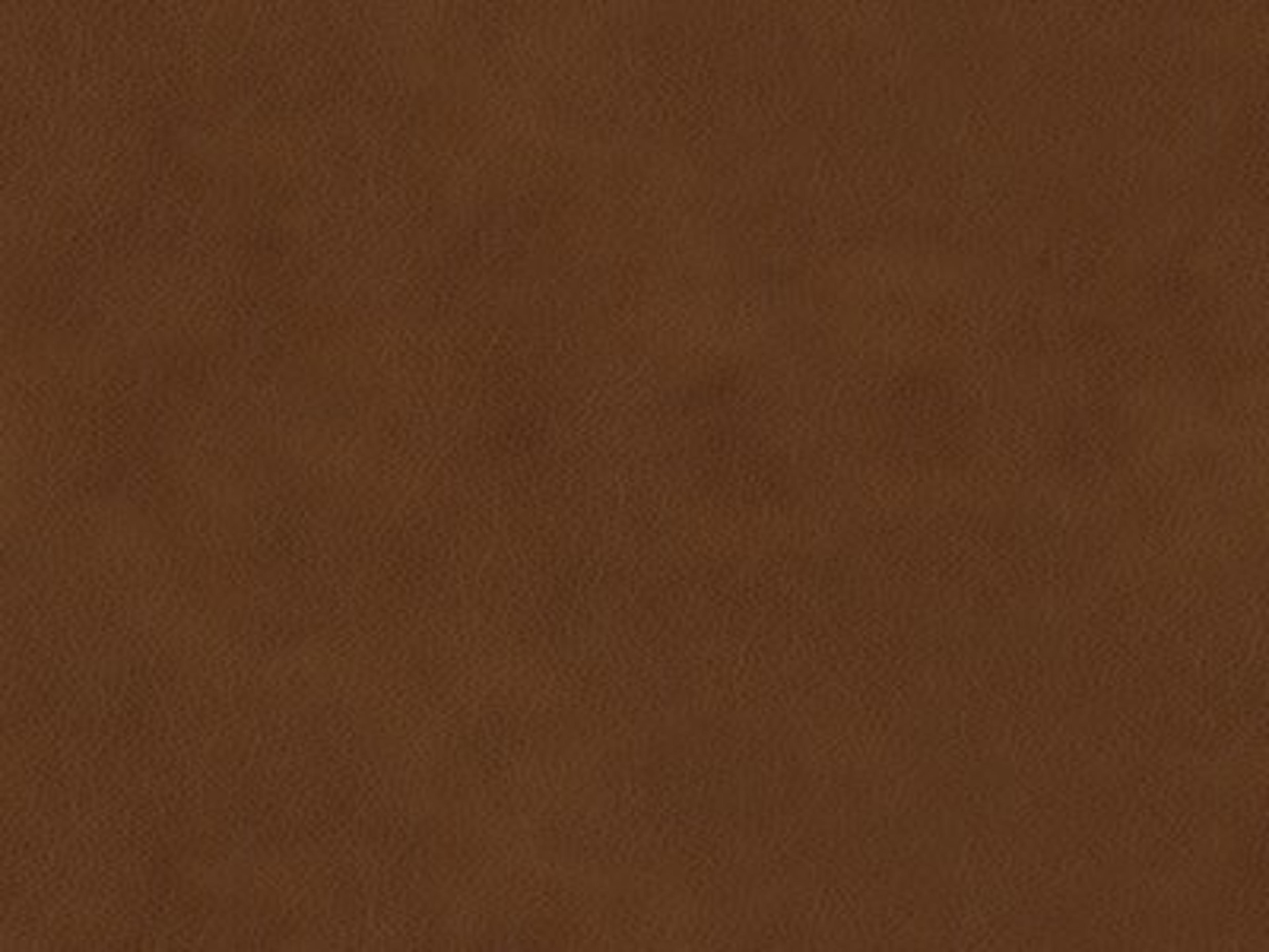 Chair Leather: 9629-55 - Protected - Leather