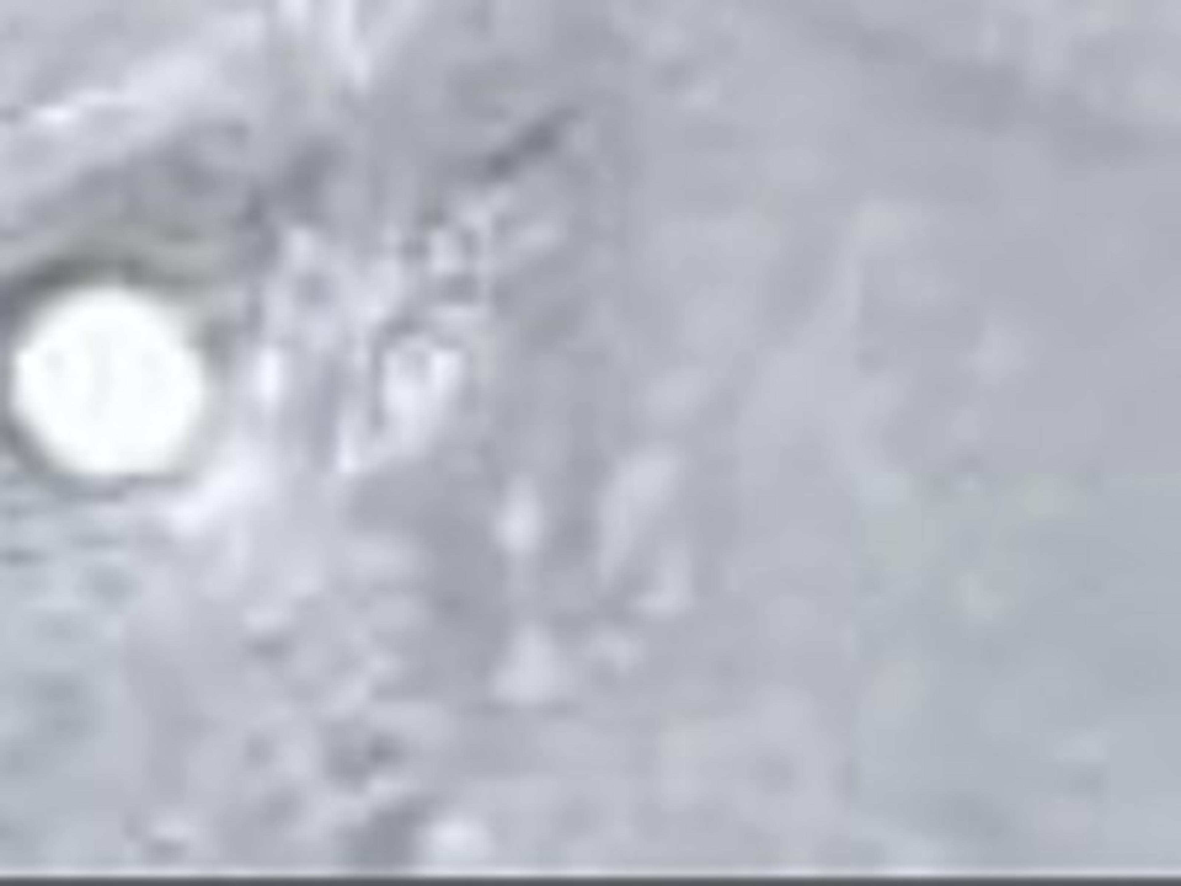 Base Finish: Galvanized Steel Gloss