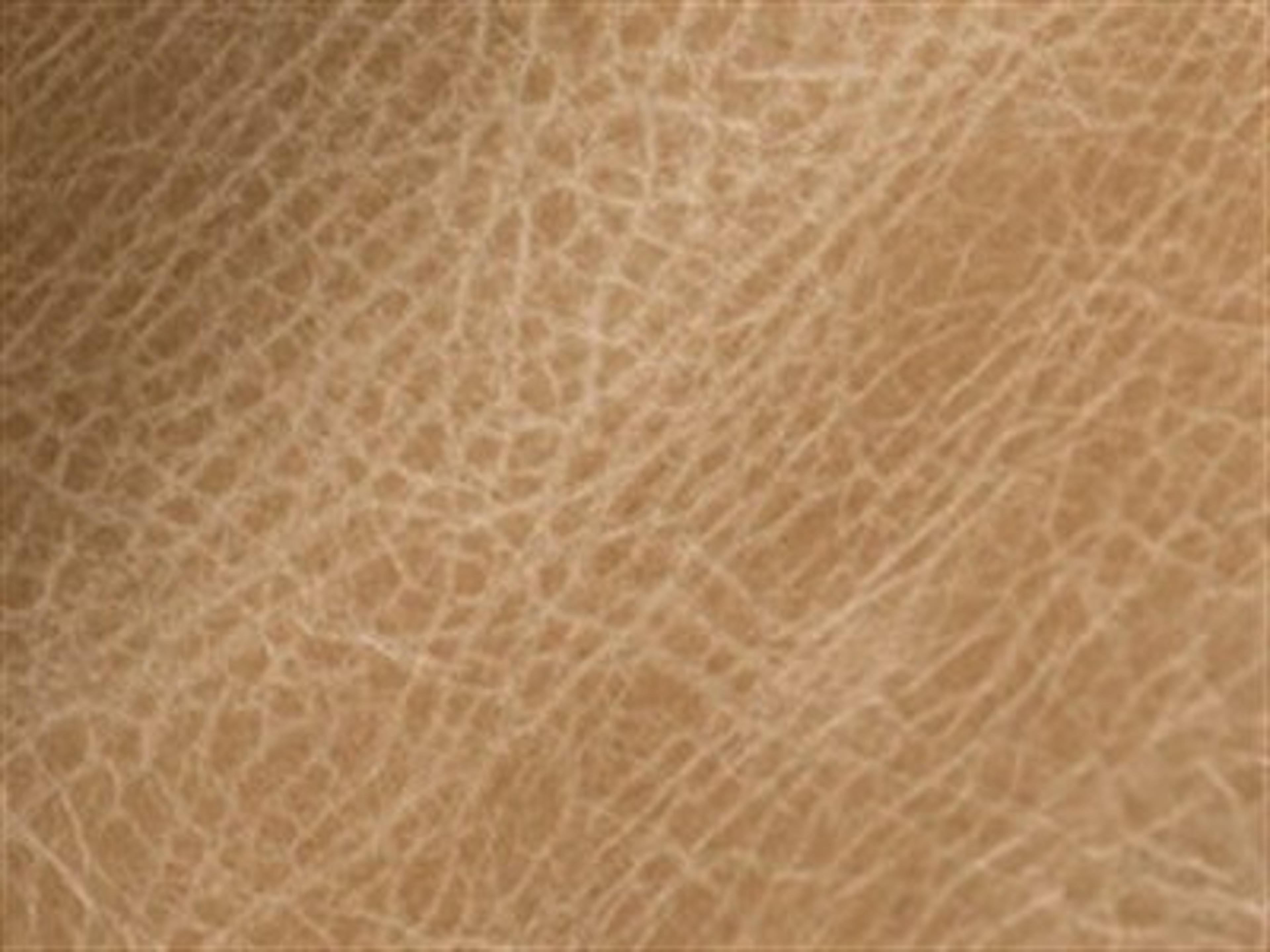 Upholstery: Fargo Oatmeal - Leather