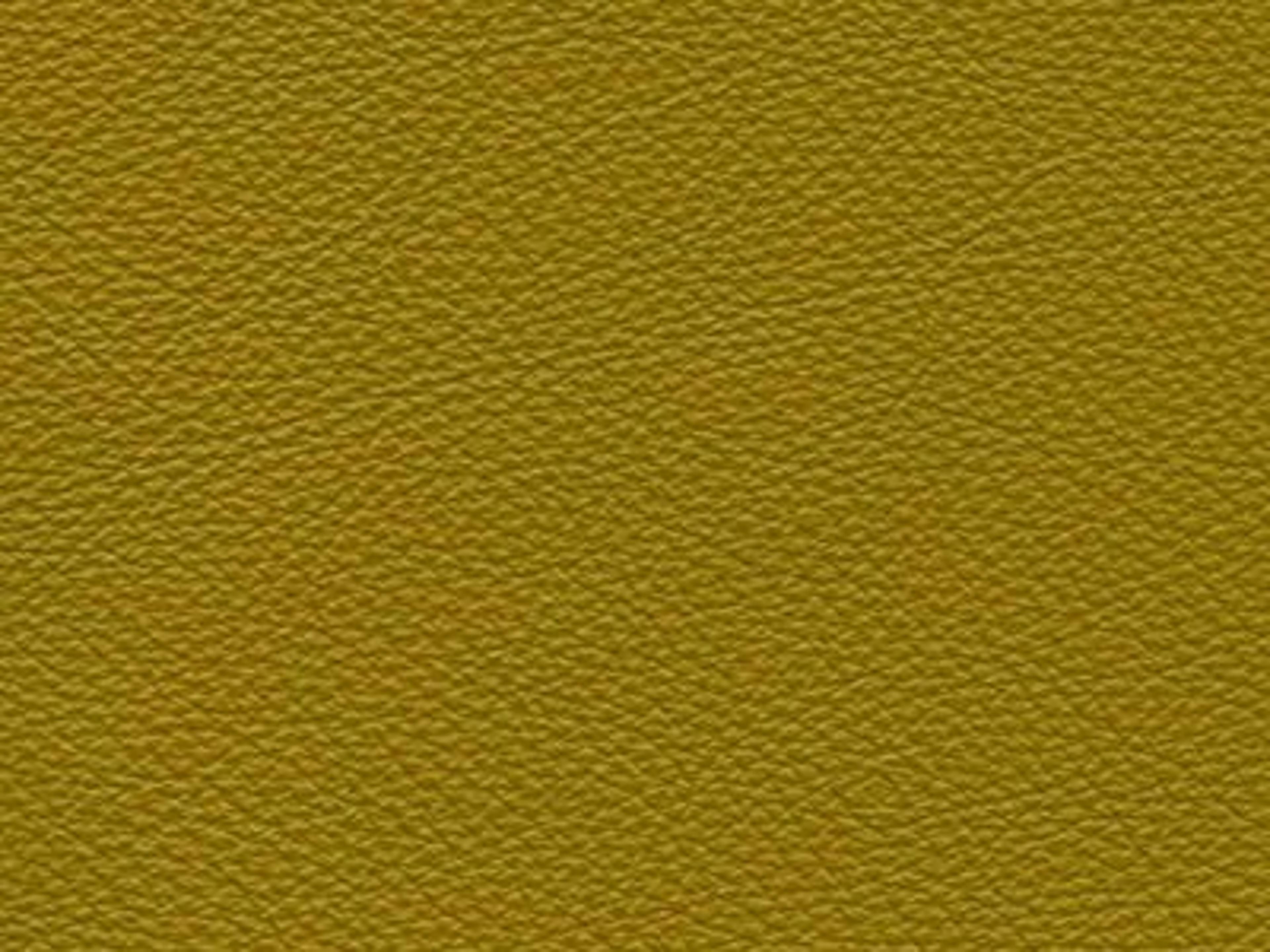 Upholstery: Le Mans Cedar Leather - 15D2