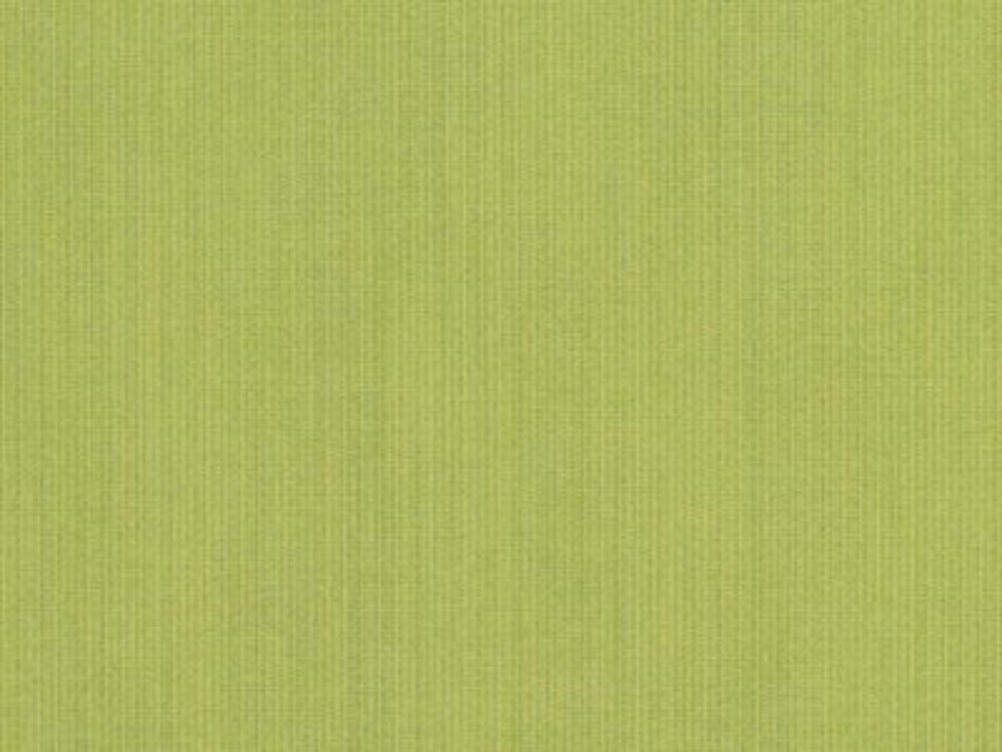 Fabric: Sunbrella Spectrum Kiwi