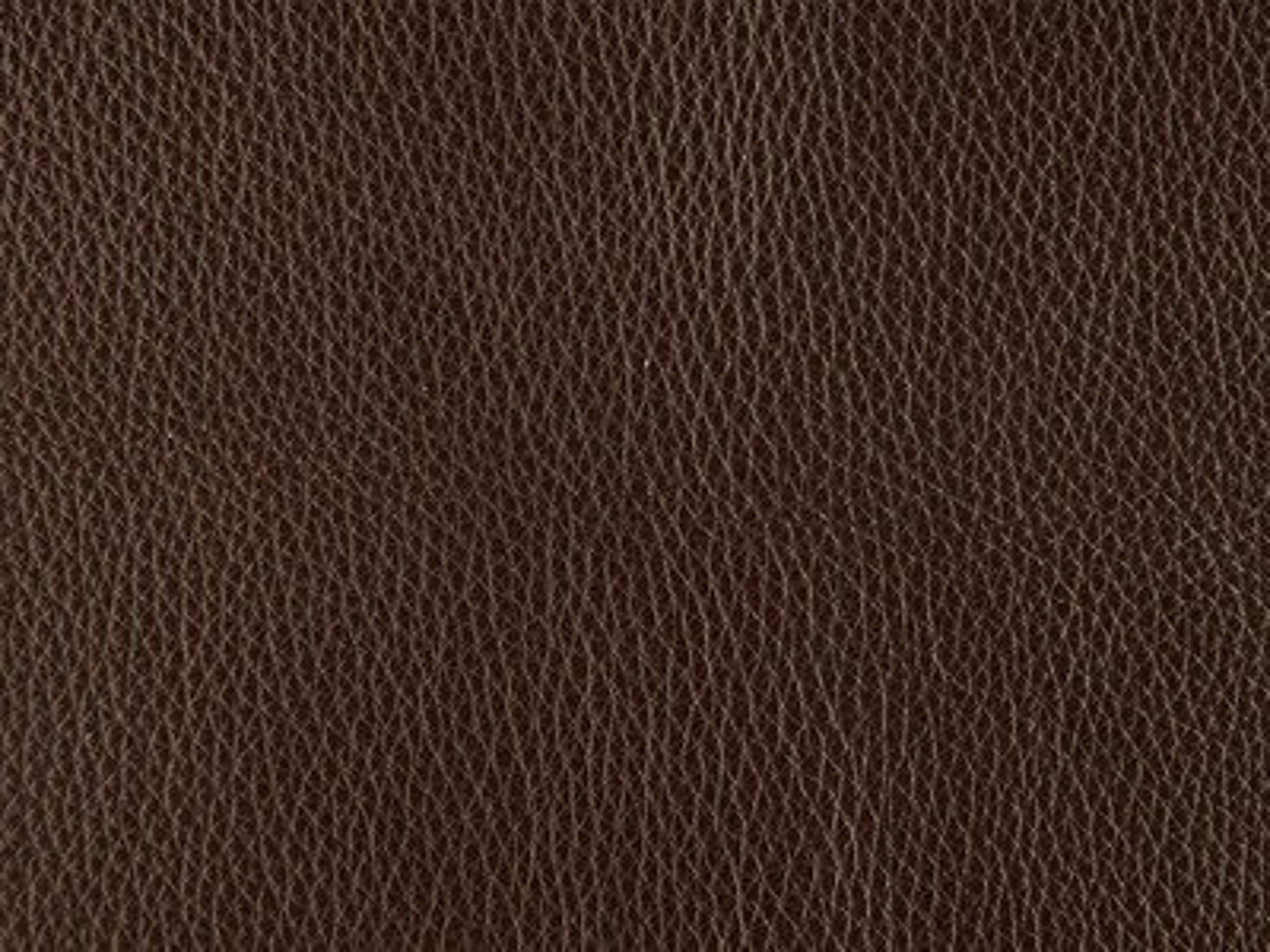 Upholstery: Rein Bruin  - Leather