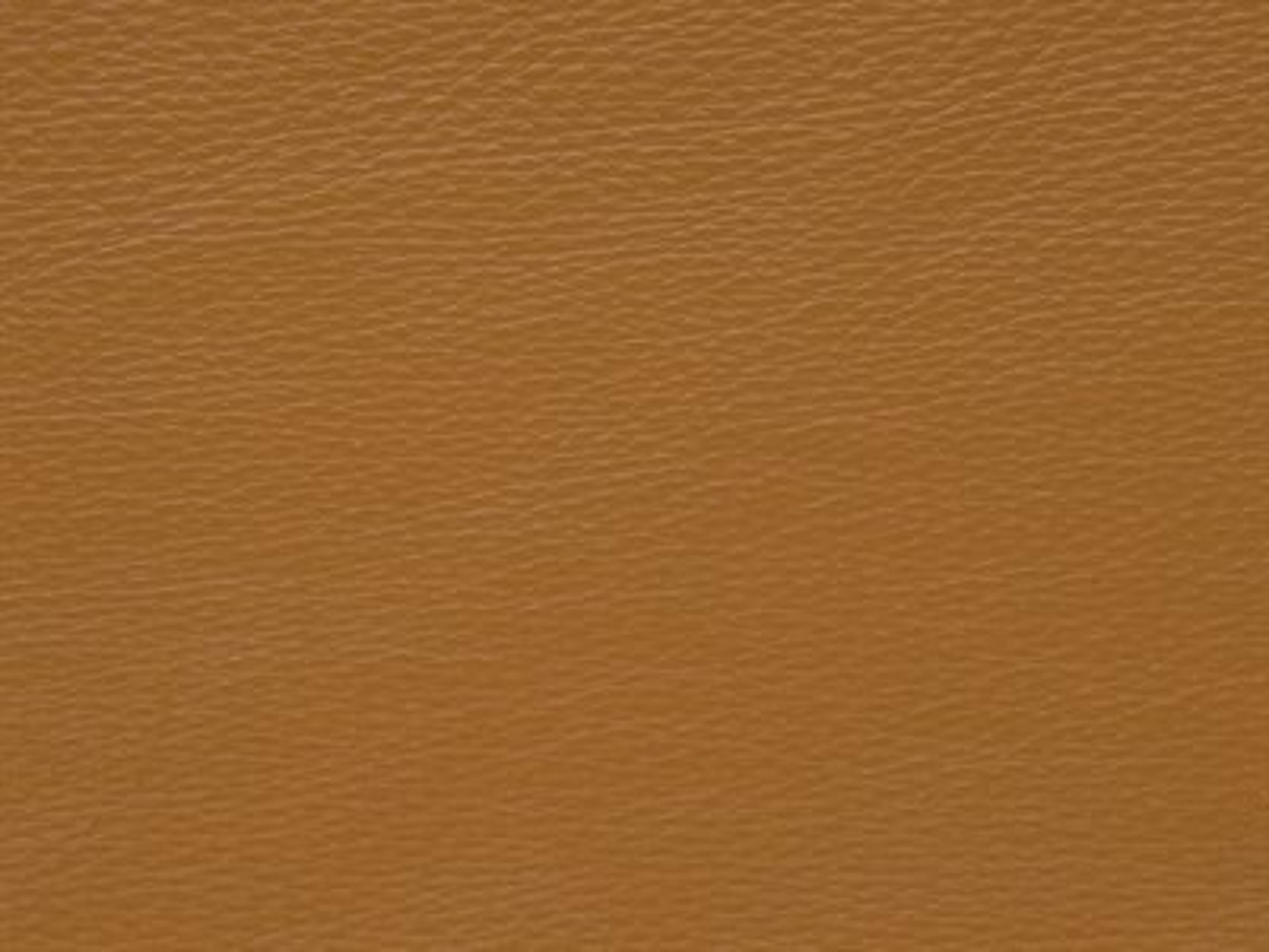 Upholstery: Rein Caramel  - Leather