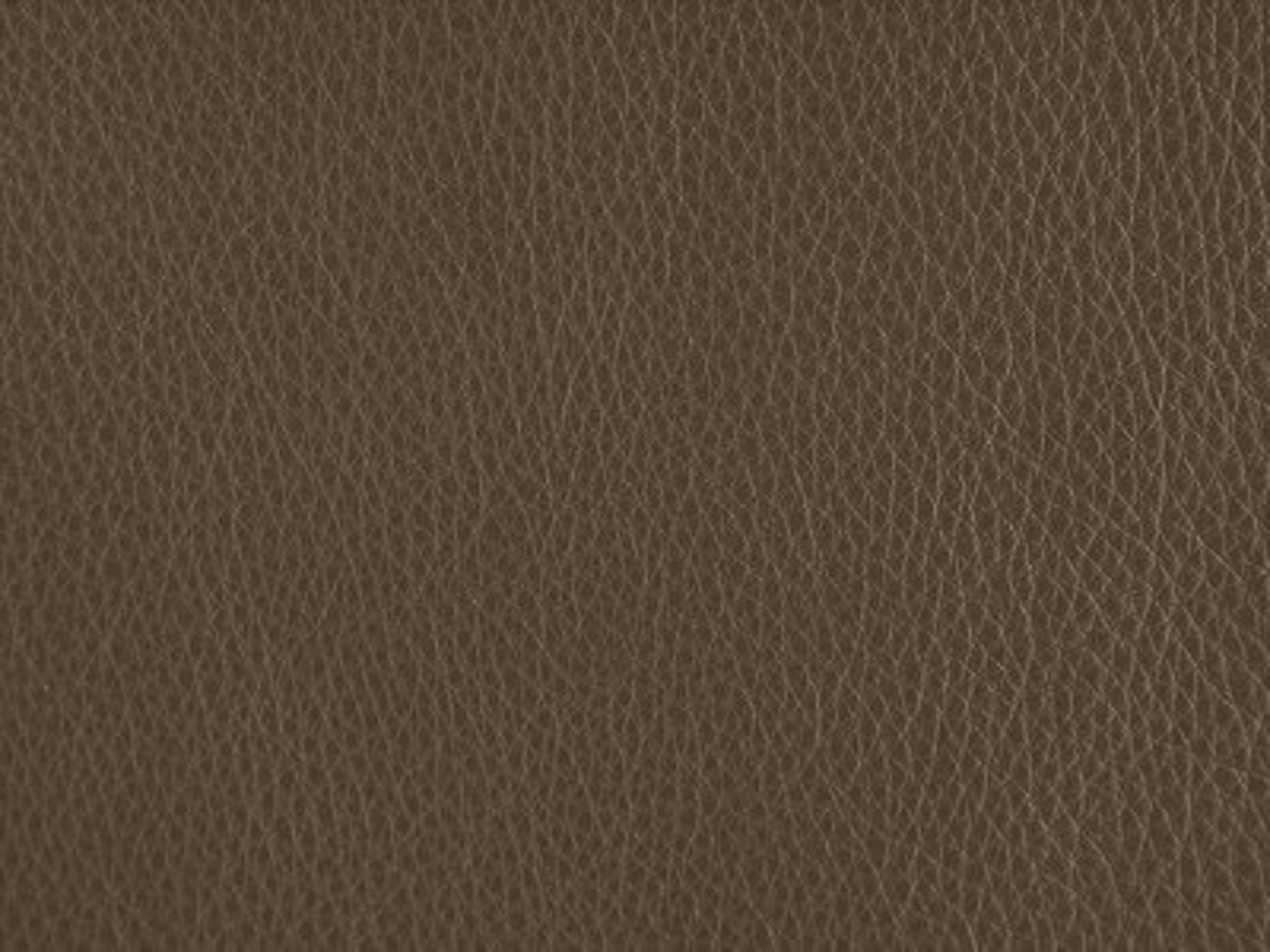 Upholstery: Rein Granite  - Leather