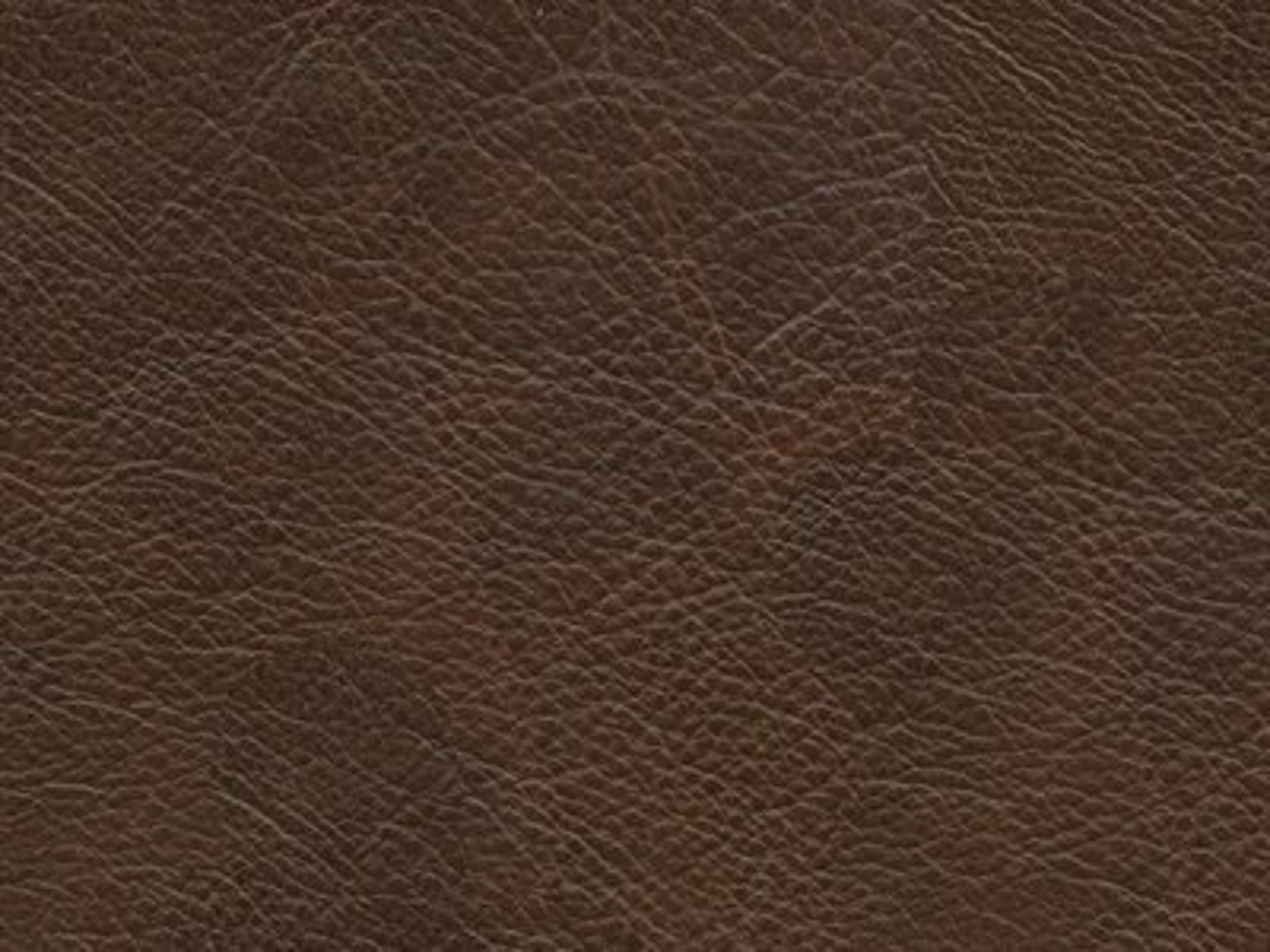 Upholstery: Panhandle Pinto Leather