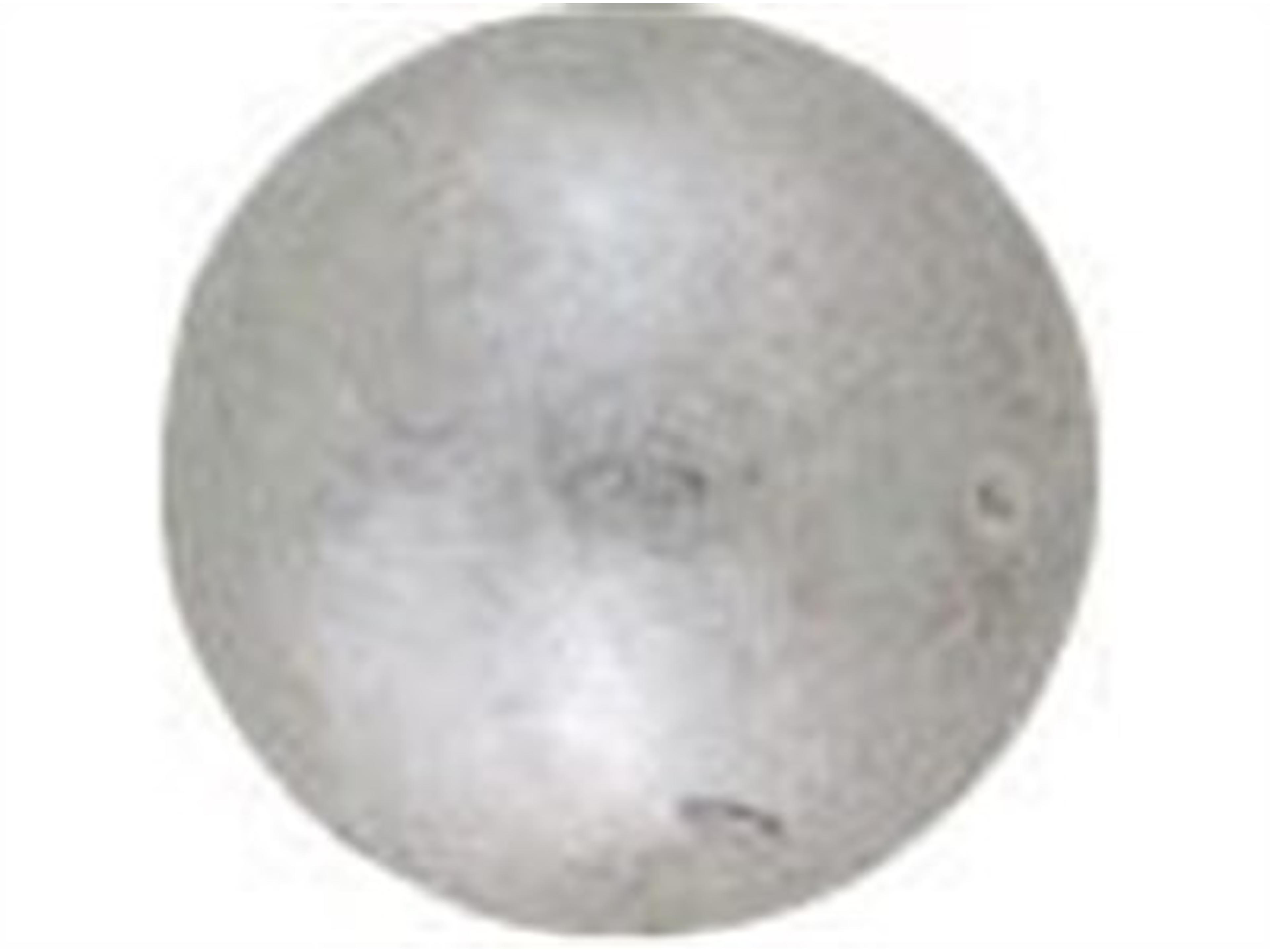 Nail Trim: Small Platinum