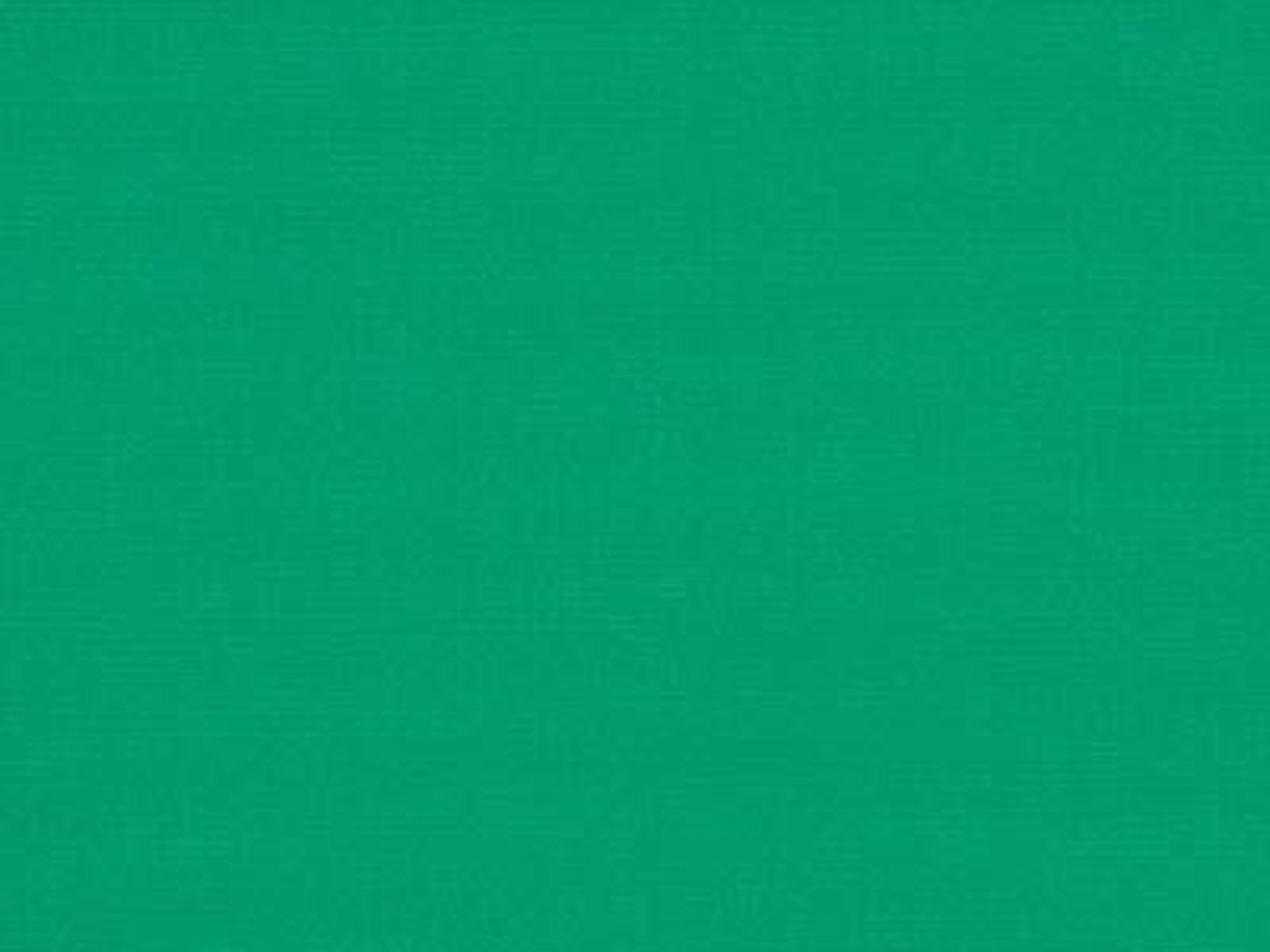 Canopy Fabric: Sunbrella Awning Erin Green