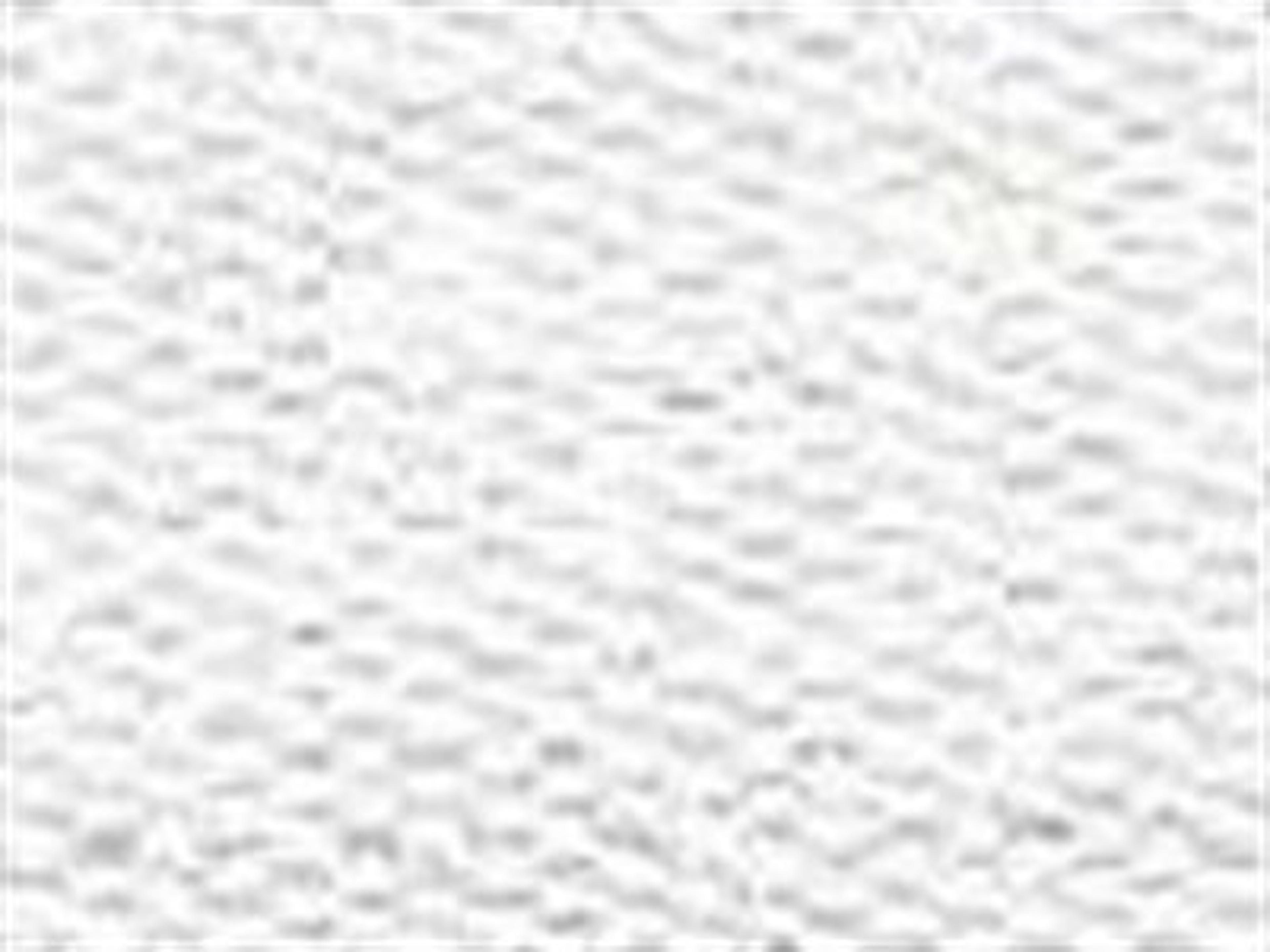 Fabric: Tempotest White Canvas