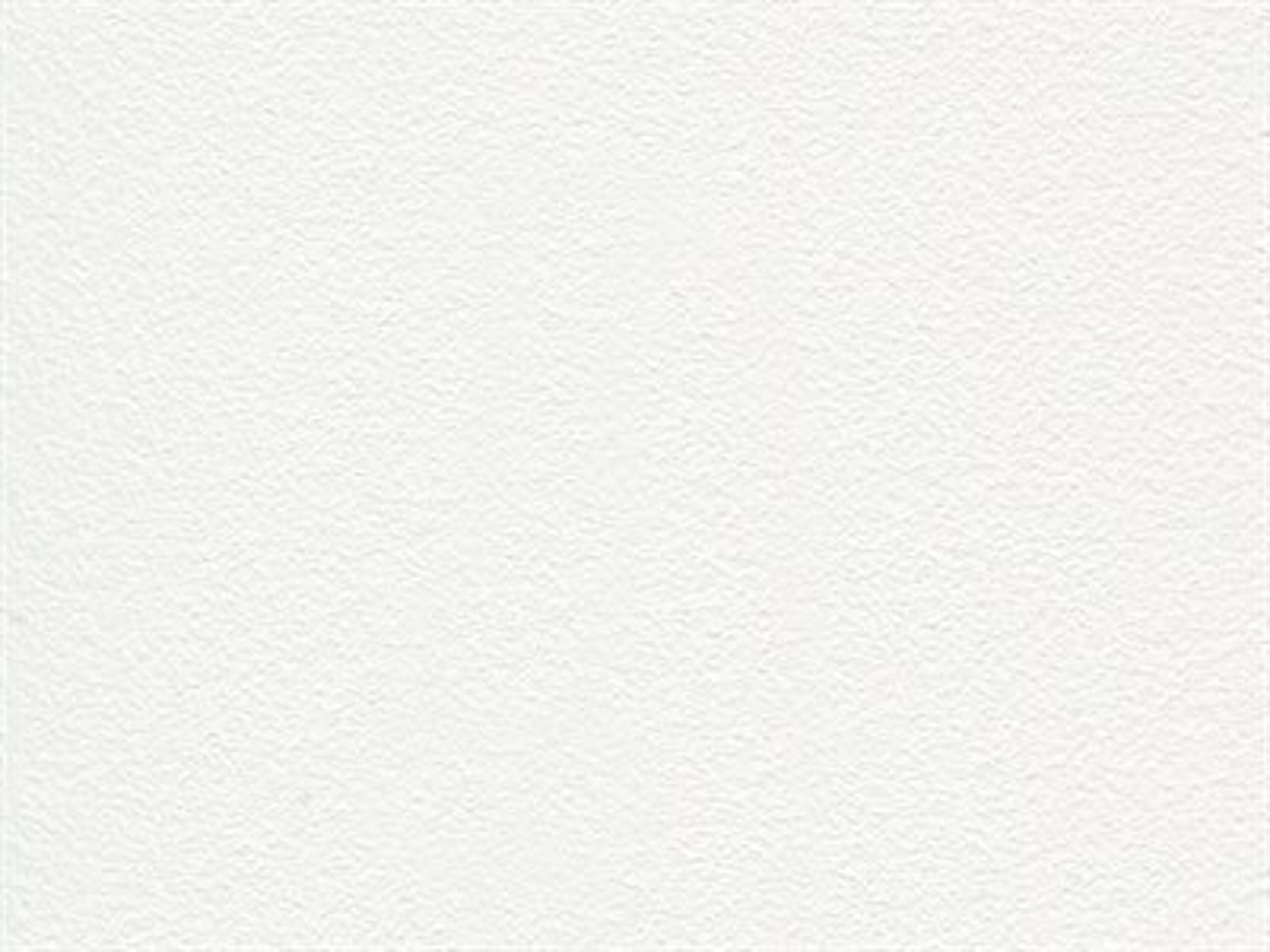 Finish: Arctic White