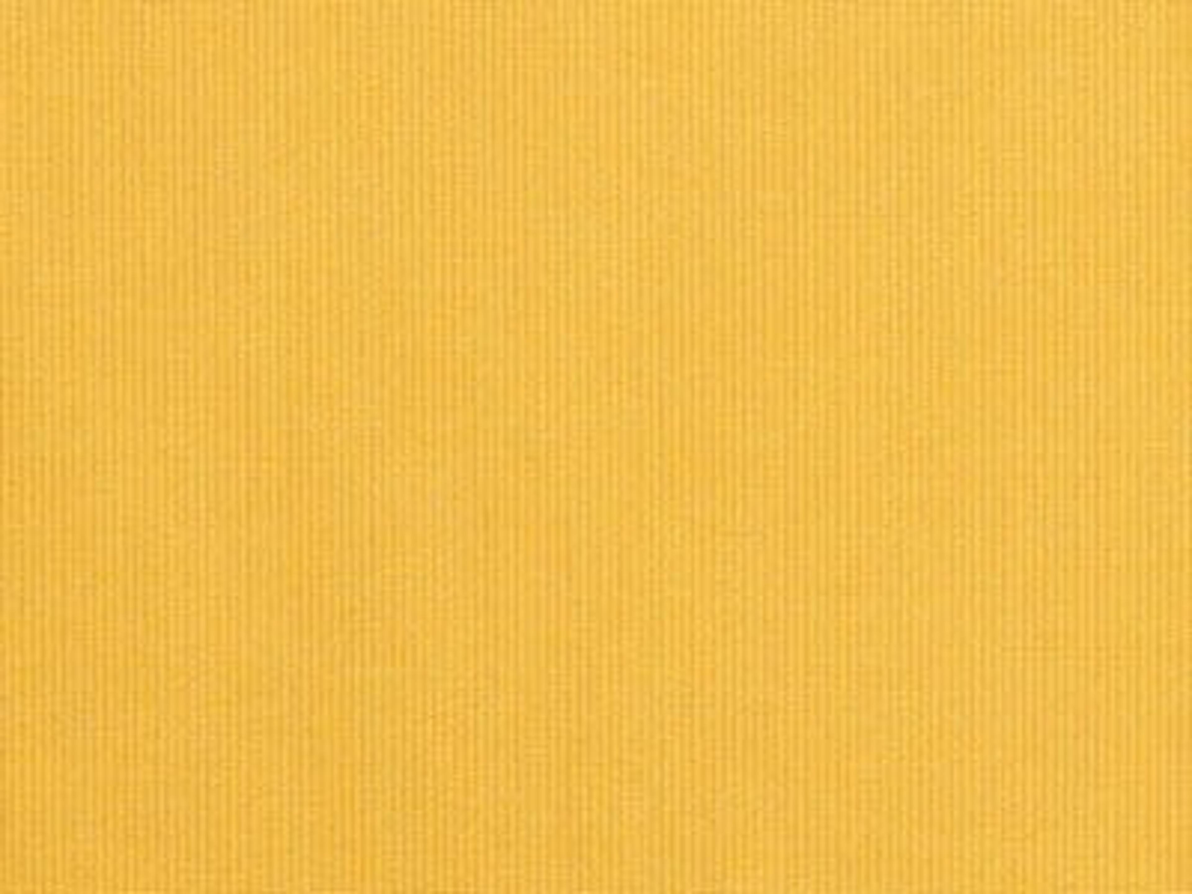 Fabric: Sunbrella Spectrum Daffodil
