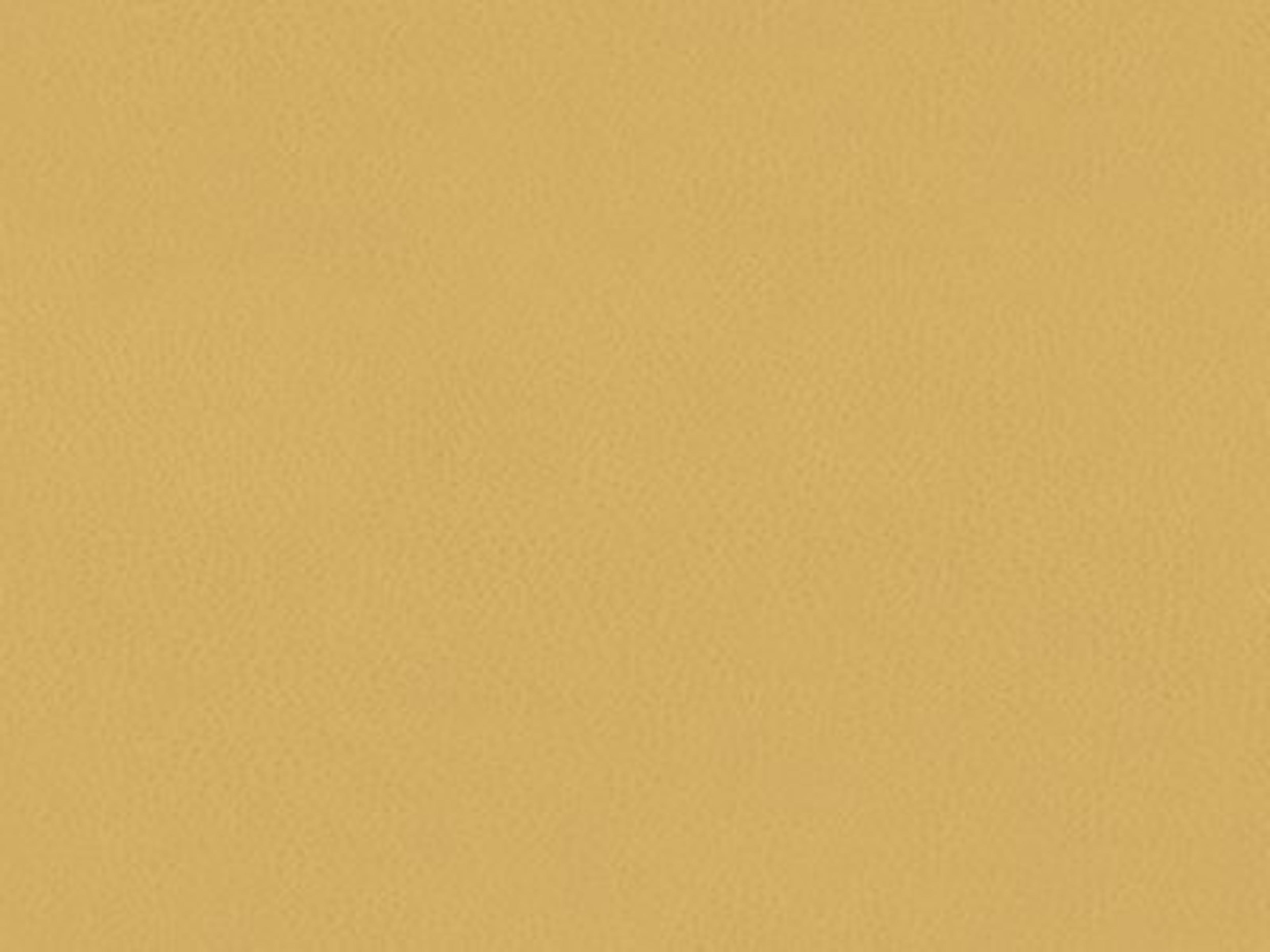 Chair Leather: 9629-11 - Protected - Leather