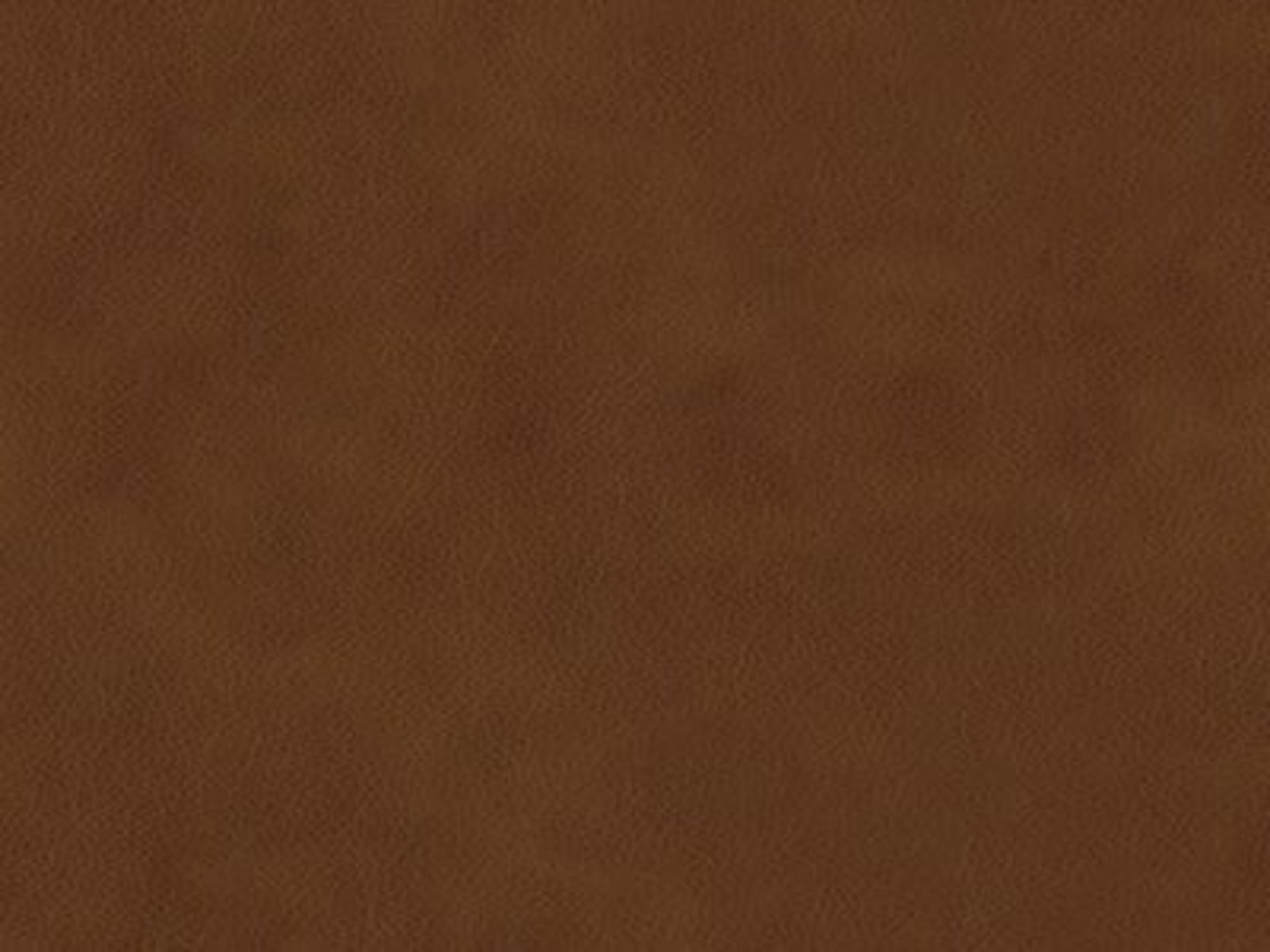 Chair Leather: 9629-55 - Protected - Leather