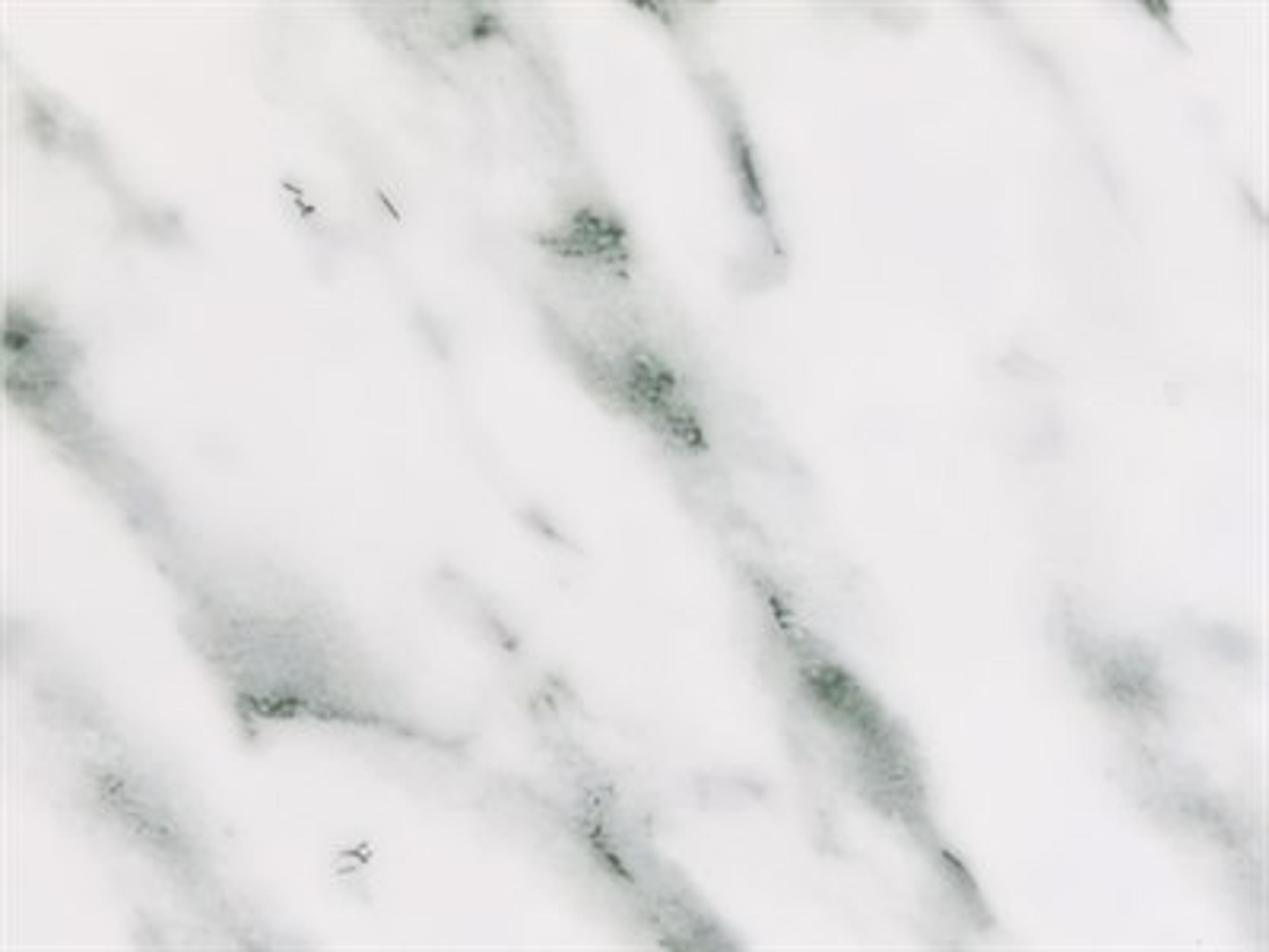 Top Finish: Carrera Marble