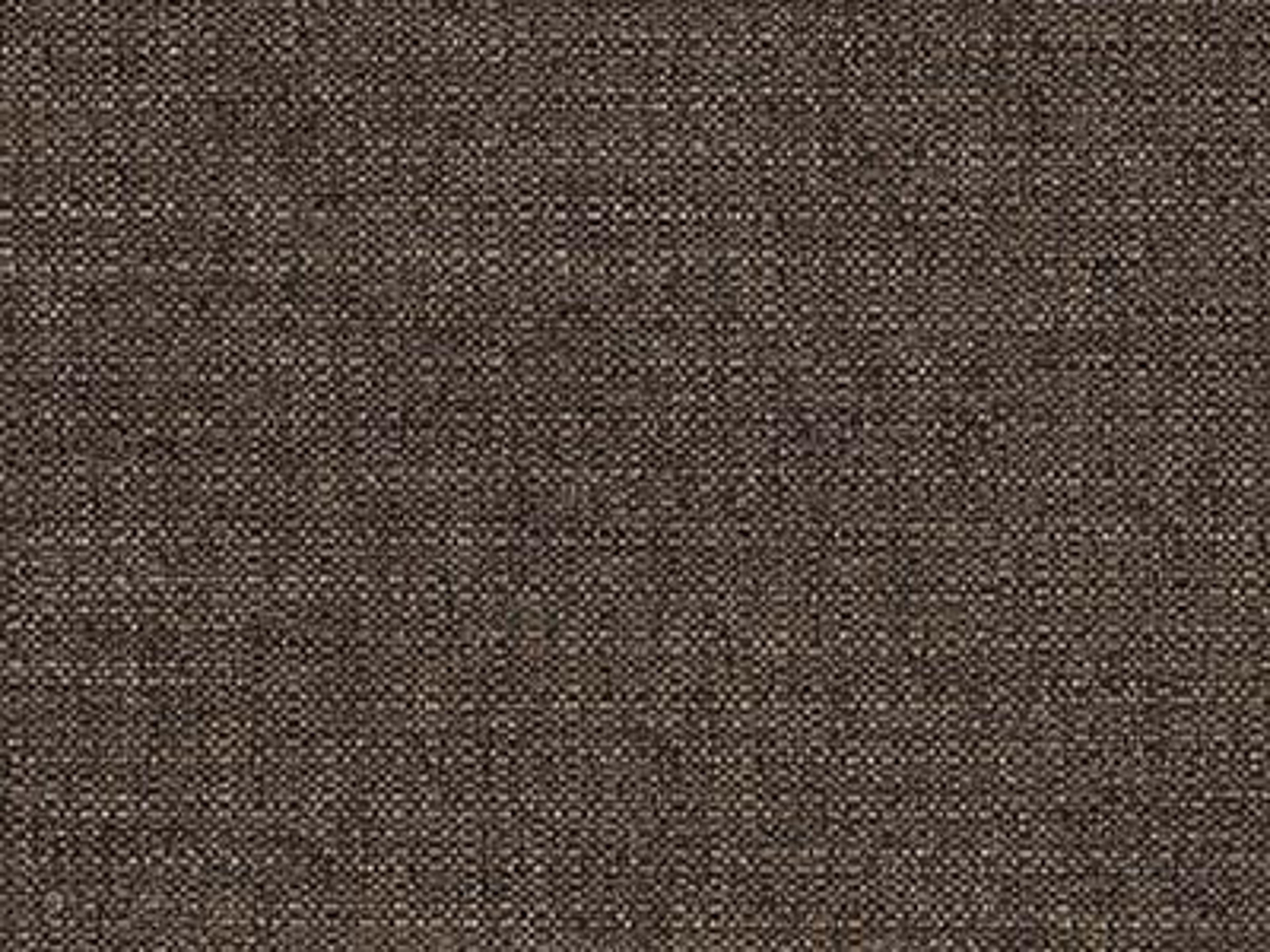 Upholstery: Revolution Zora Bark