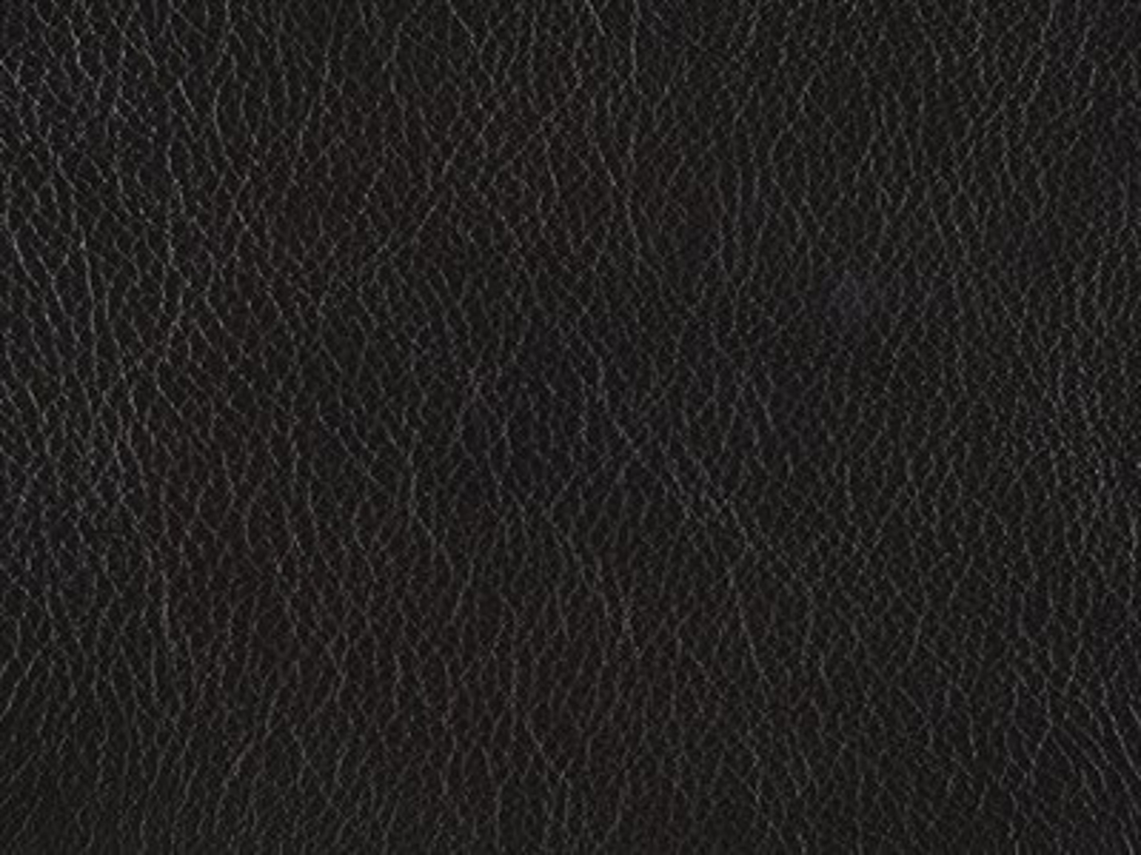 Upholstery: Ziggy  Ink