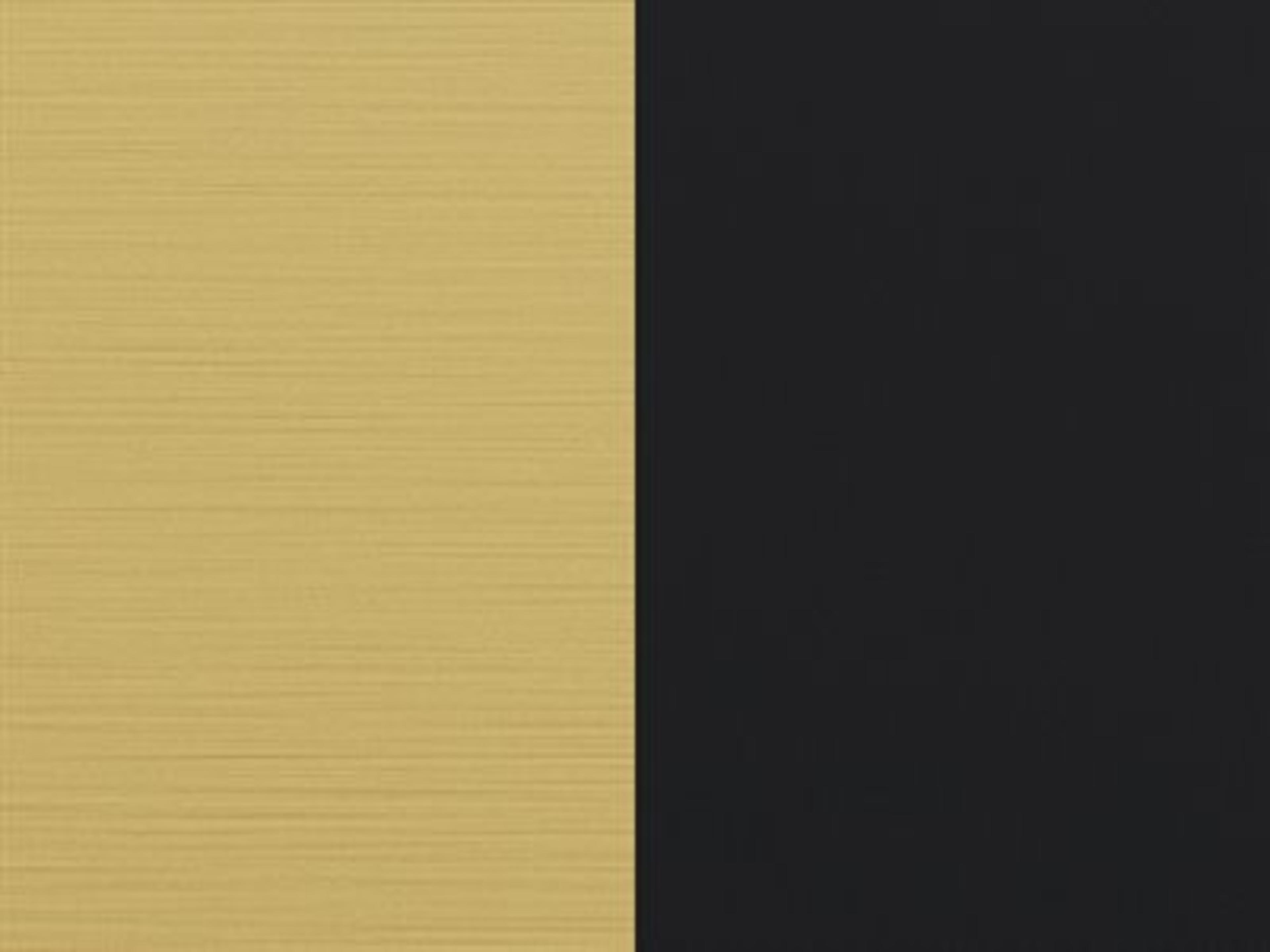 Finish: Matte Brushed Gold / Matte Black