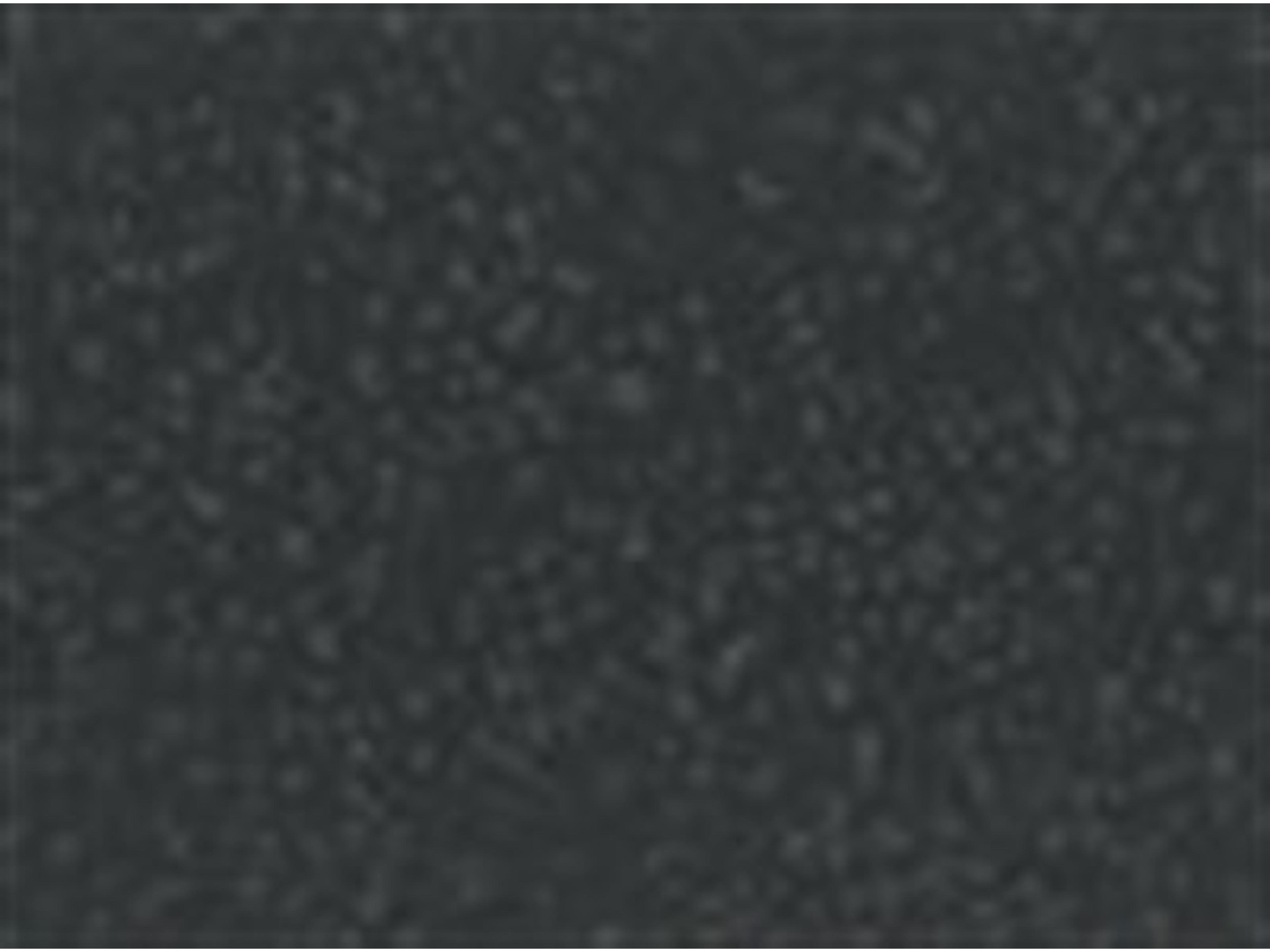 Strap Color: Textured Hammered Pewter