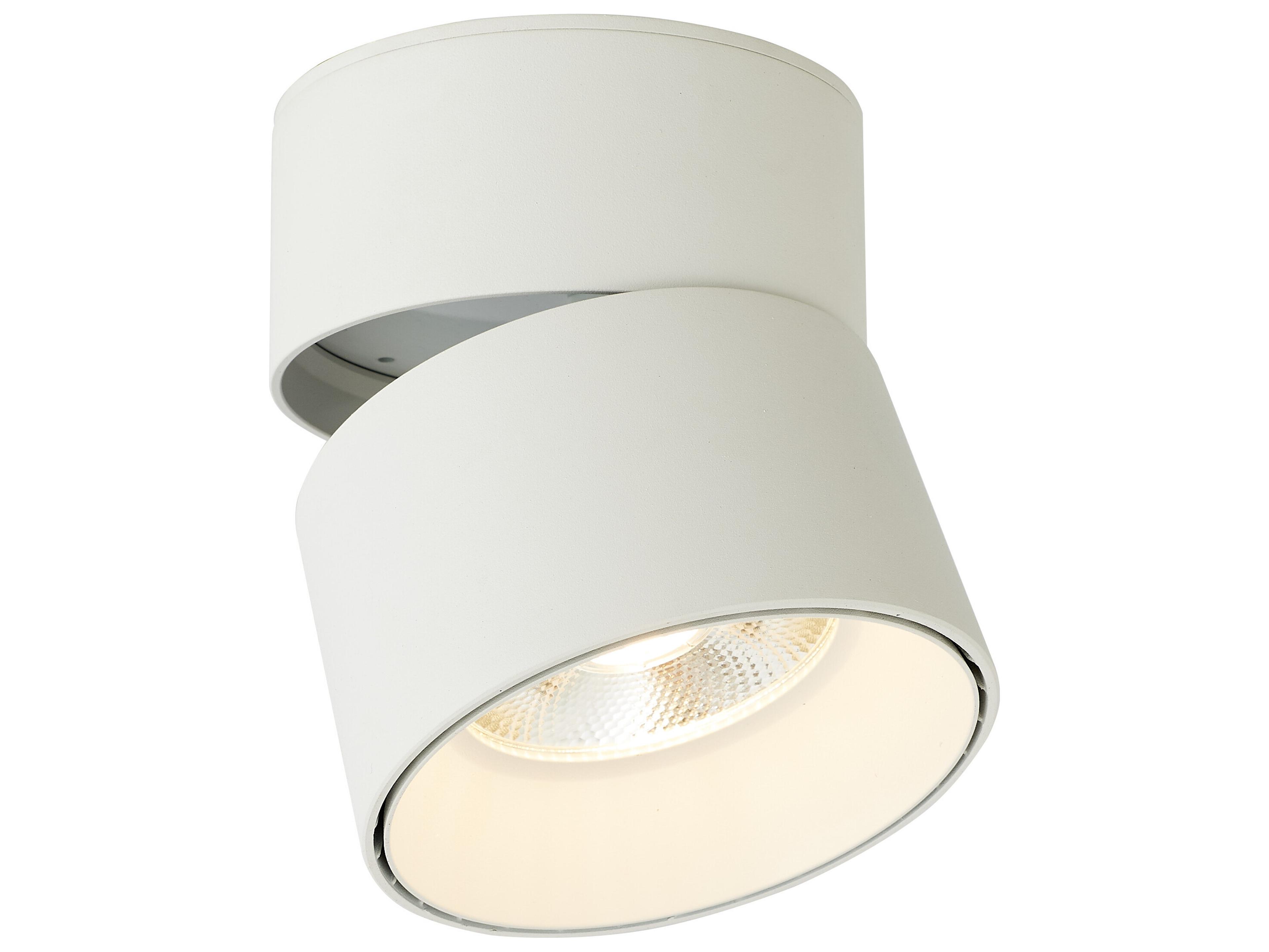 Arc 1-Light Matte White Round Flush Mount