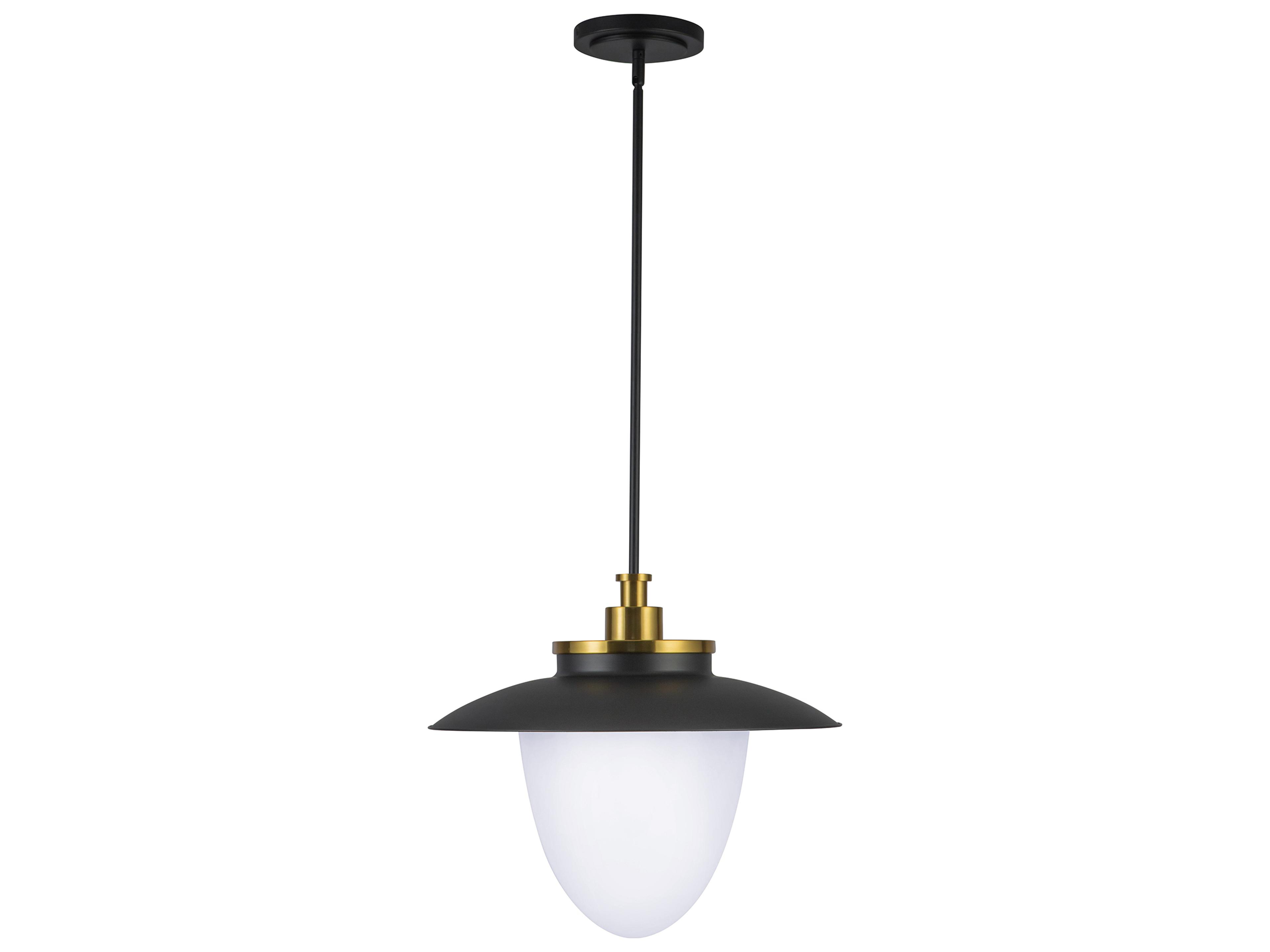Dahlia 3-Light Black Pendant