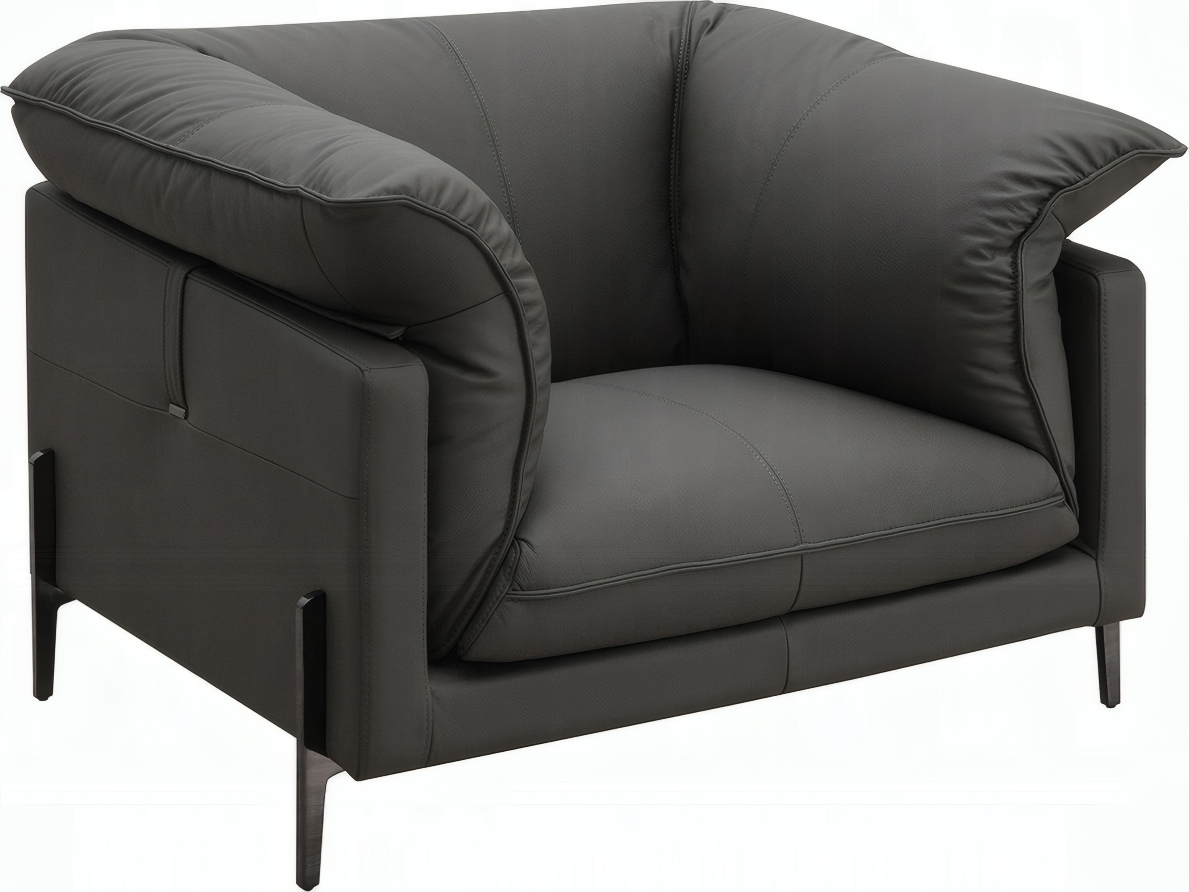Acme Furniture Tadi Black Leather Accent Chair