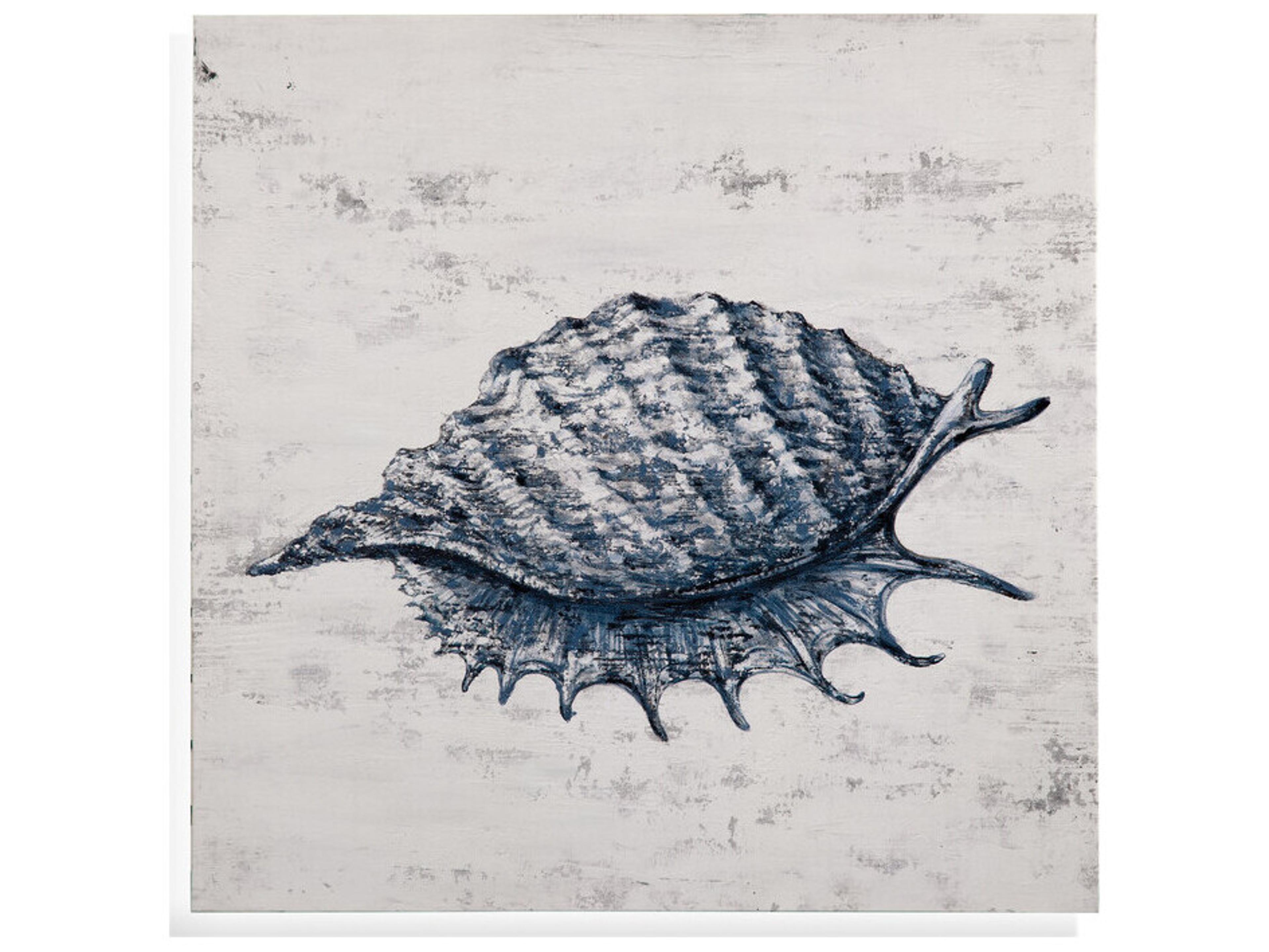 Bassett Mirror Shell-I Wall Art