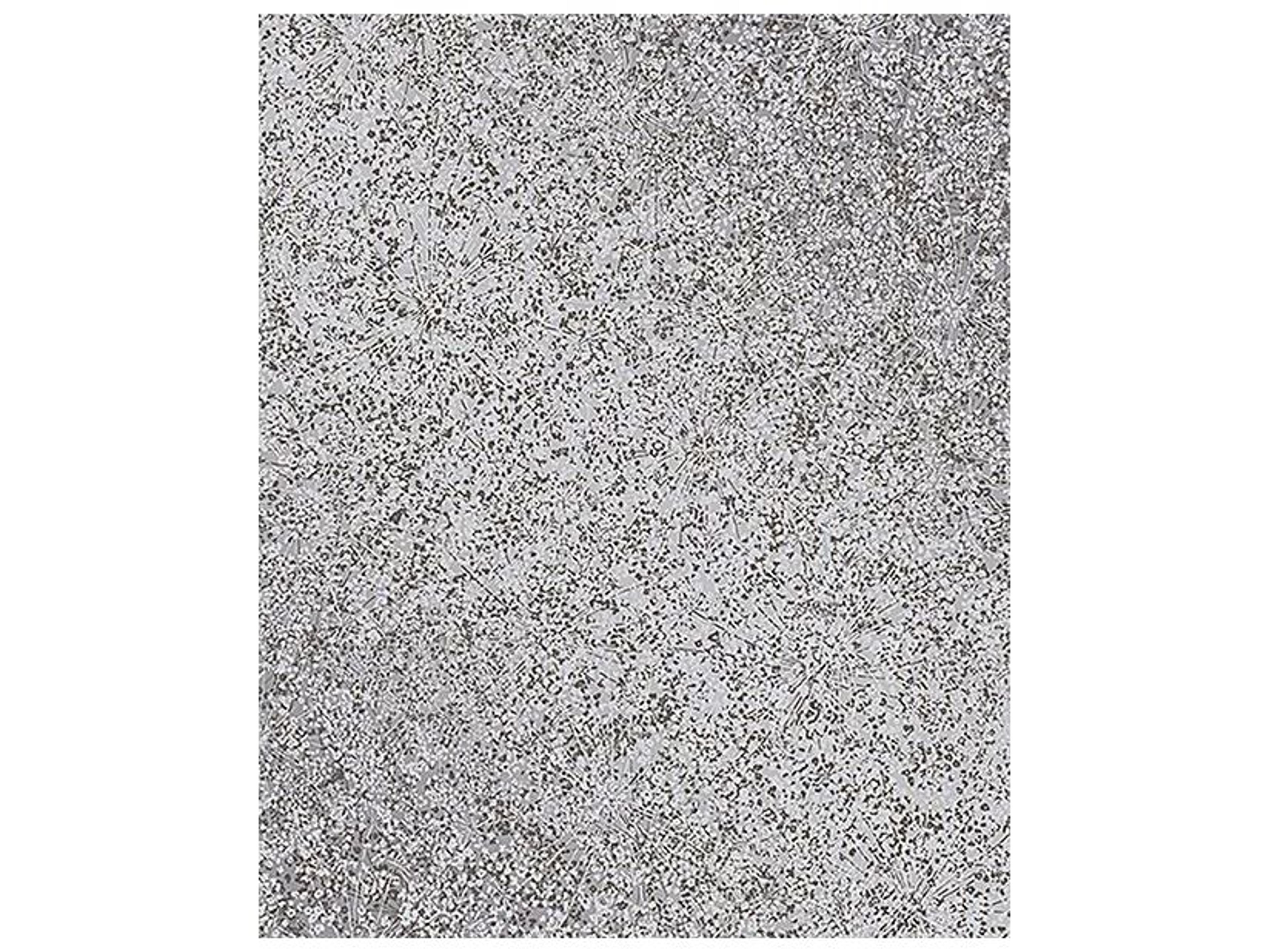 Brewster Home Fashions Decorline Dandi Grey Floral Wallpaper