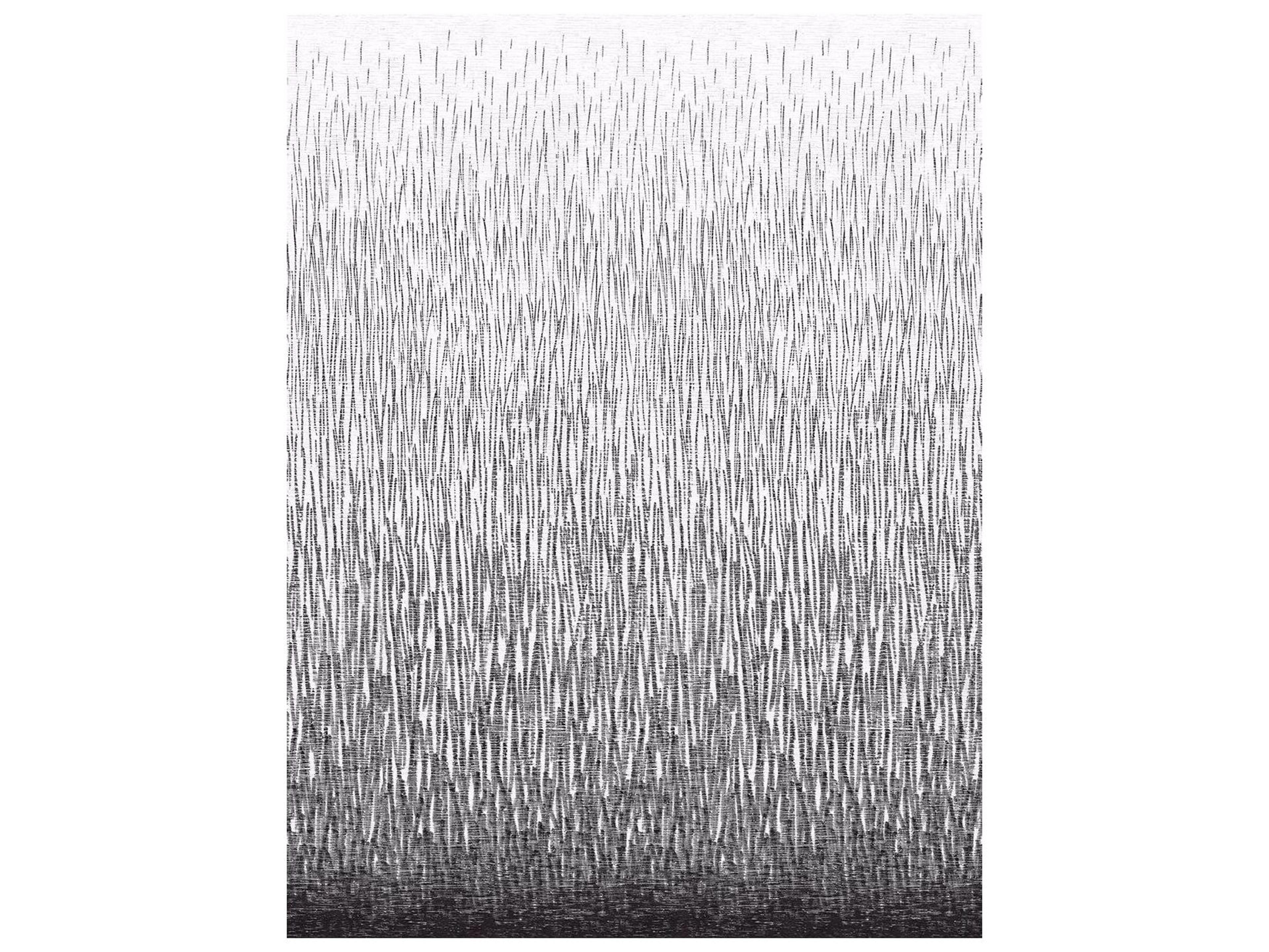 Brewster Home Fashions A-street Prints Amaya Black Wall Mural