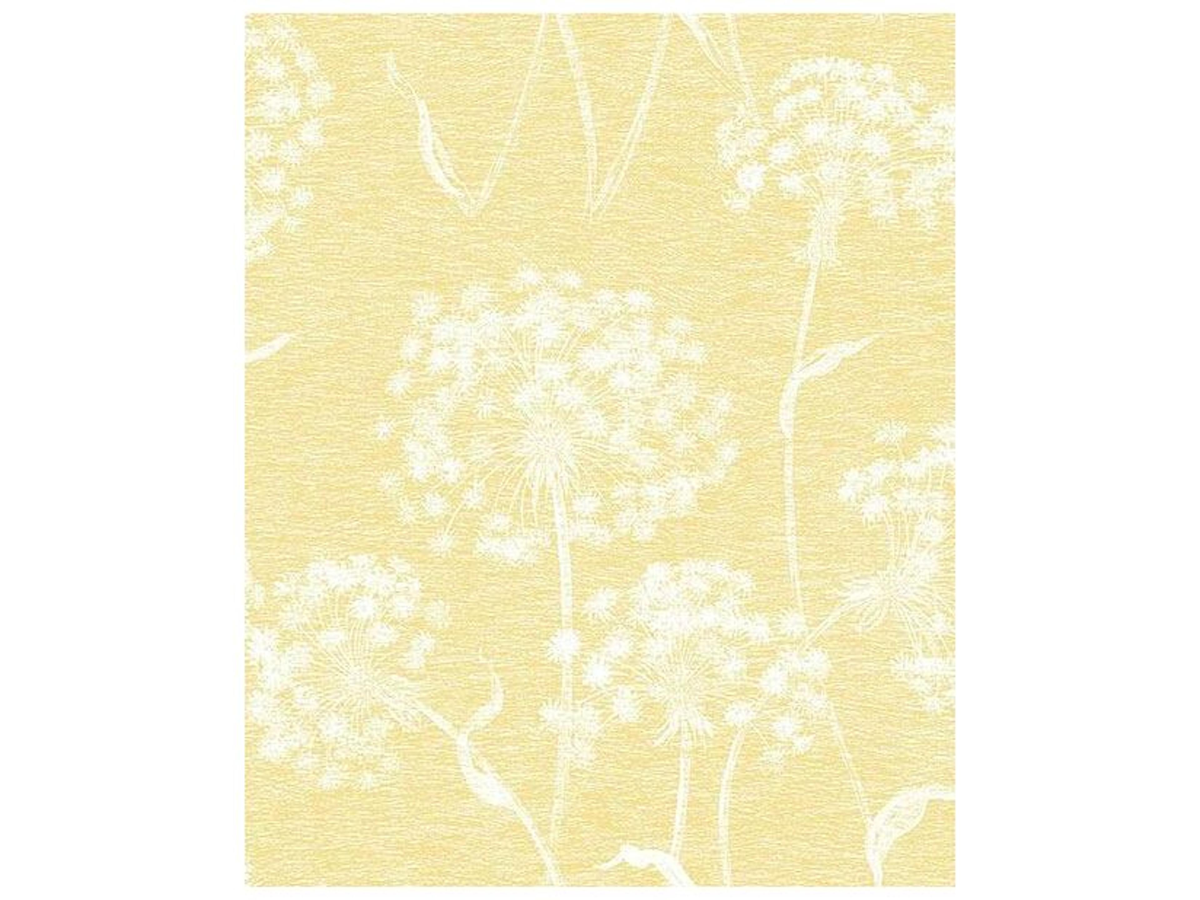 Brewster Home Fashions Advantage Carolyn Yellow Dandelion Wallpaper Carolyn Yellow Dandelion Wallpaper