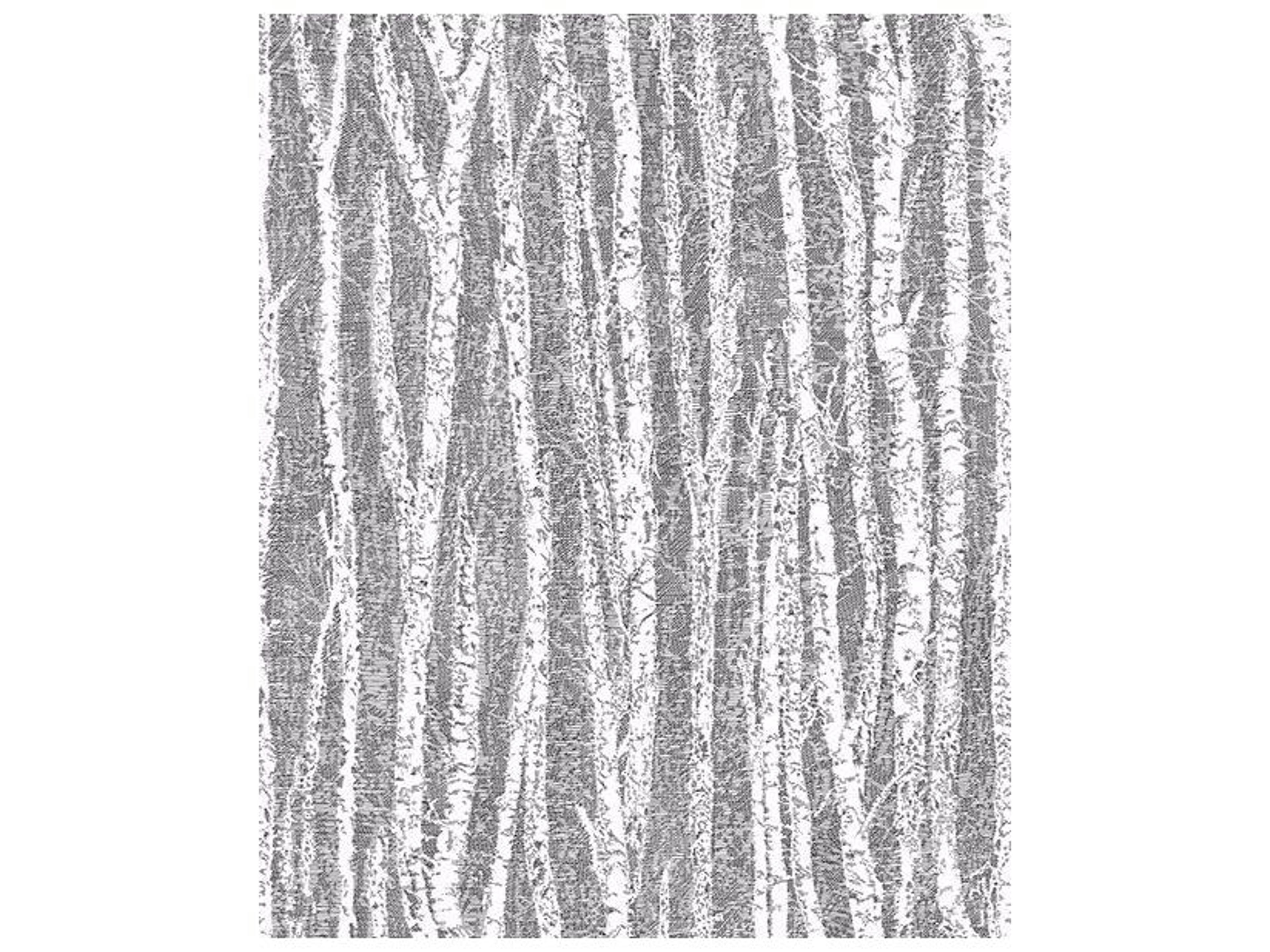 Brewster Home Fashions Advantage Flay Black Birch Tree Wallpaper Flay Black Birch Tree Wallpaper