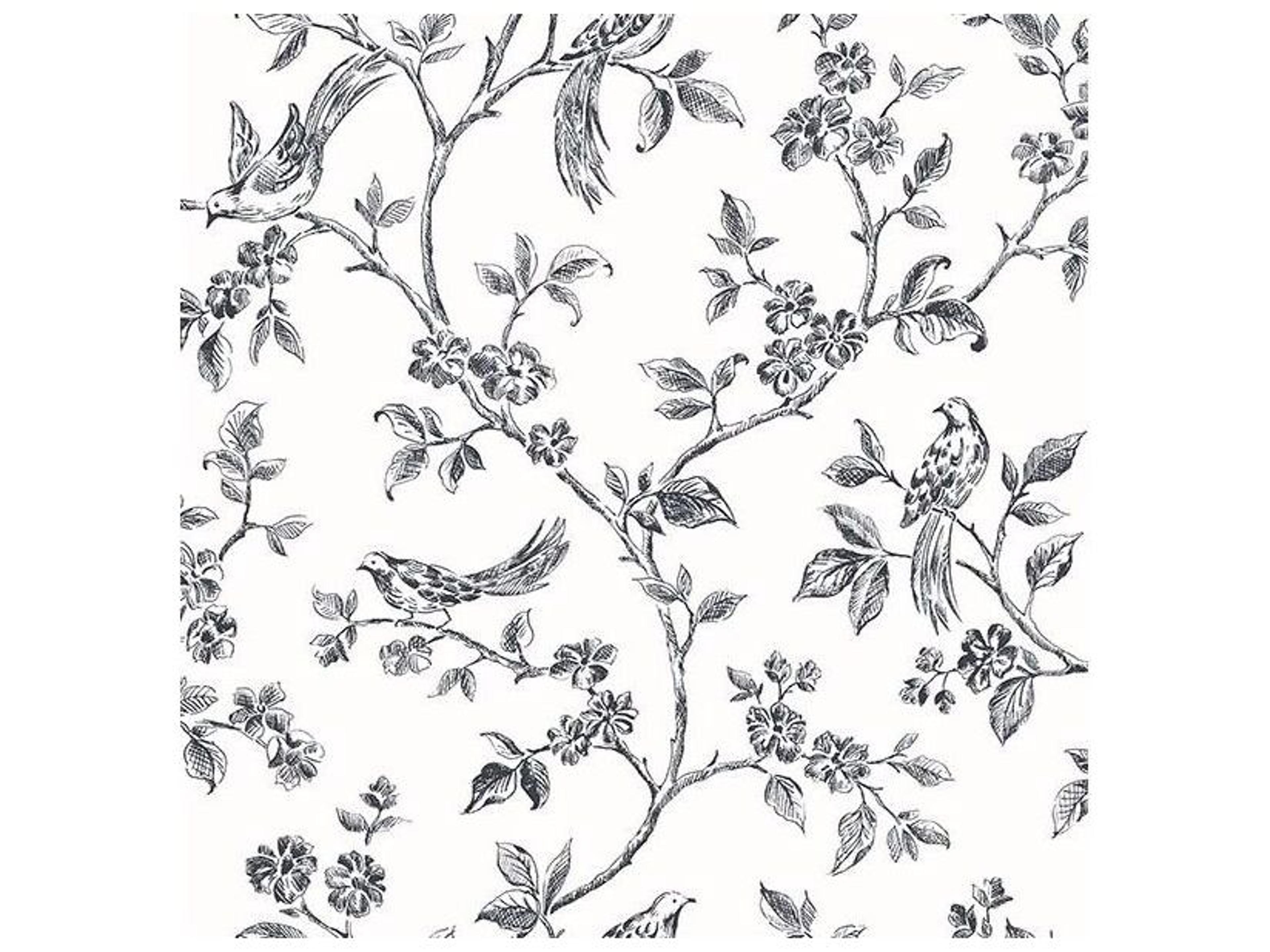 Brewster Home Fashions Advantage Ophelia Black Bird Trail Wallpaper Ophelia Black Bird Trail Wallpaper