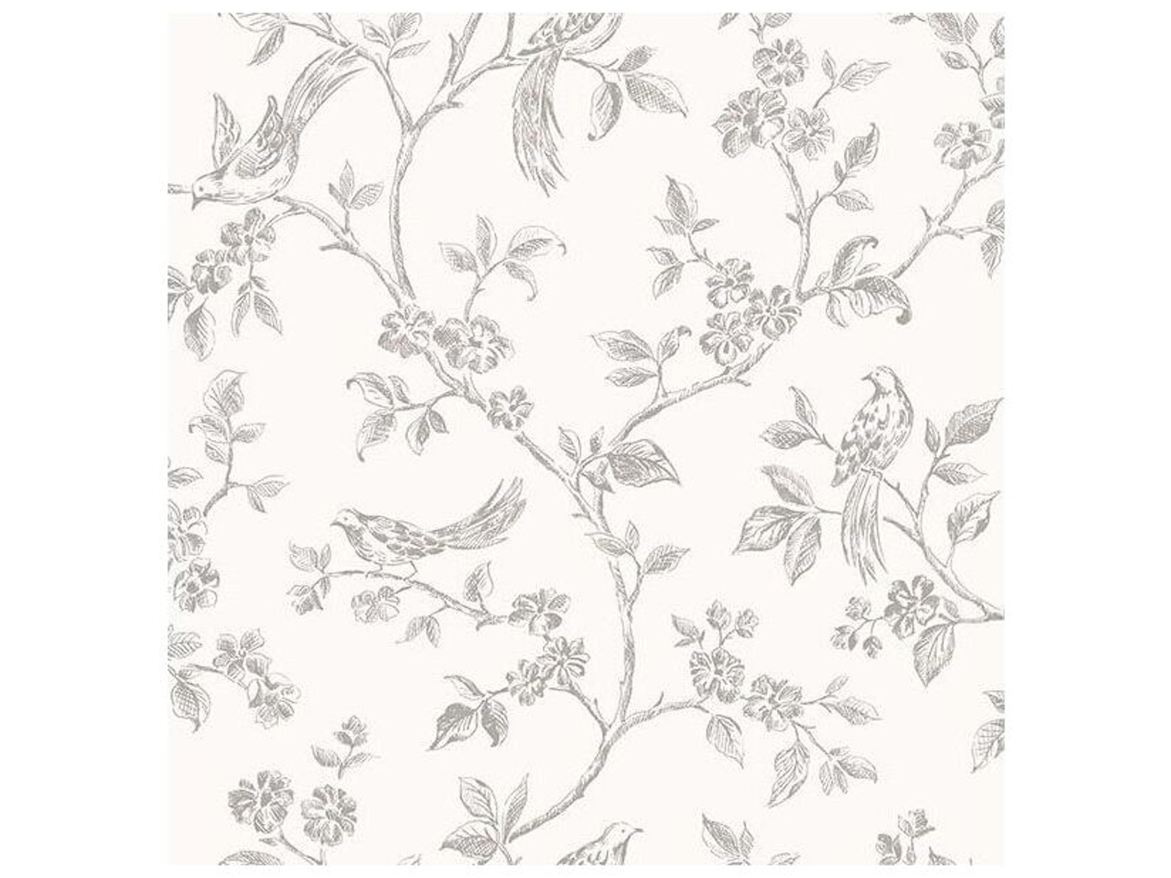 Brewster Home Fashions Advantage Ophelia Grey Bird Trail Wallpaper Ophelia Grey Bird Trail Wallpaper