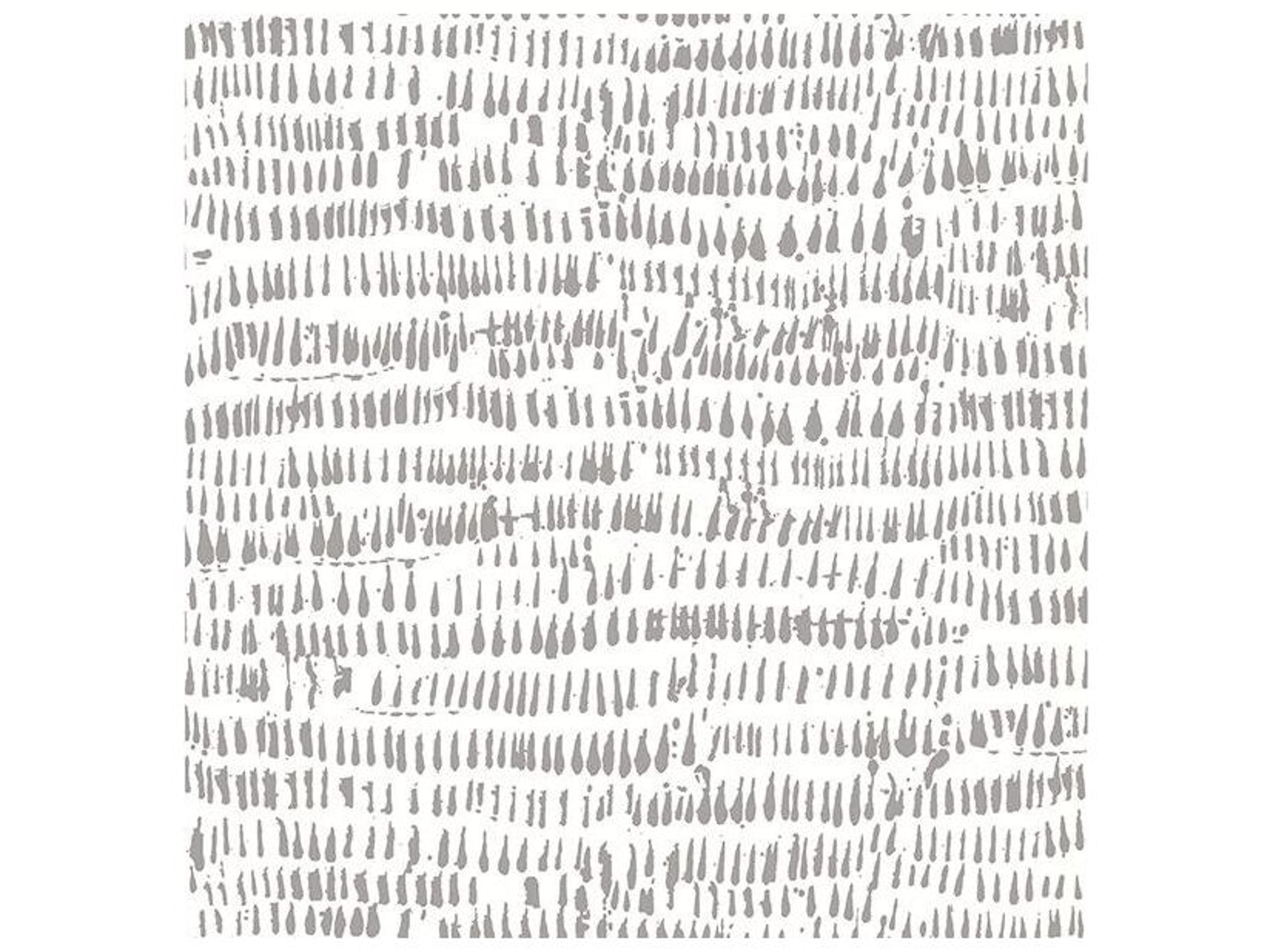 Brewster Home Fashions Fresh Start Kitchen & Bath Runes Taupe Brushstrokes Wallpaper