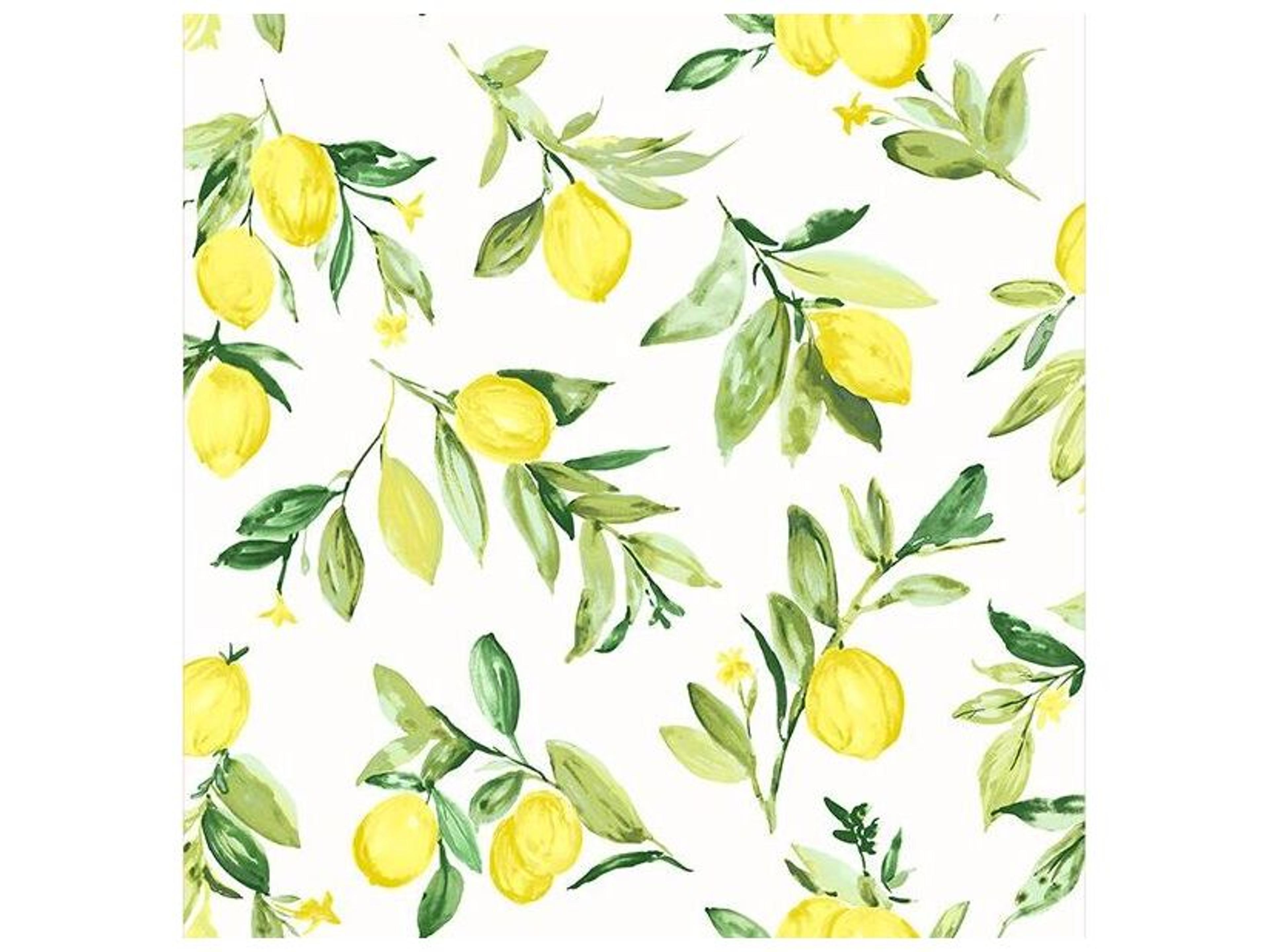 Brewster Home Fashions Fresh Start Kitchen & Bath Limon Chartreuse Fruit Wallpaper