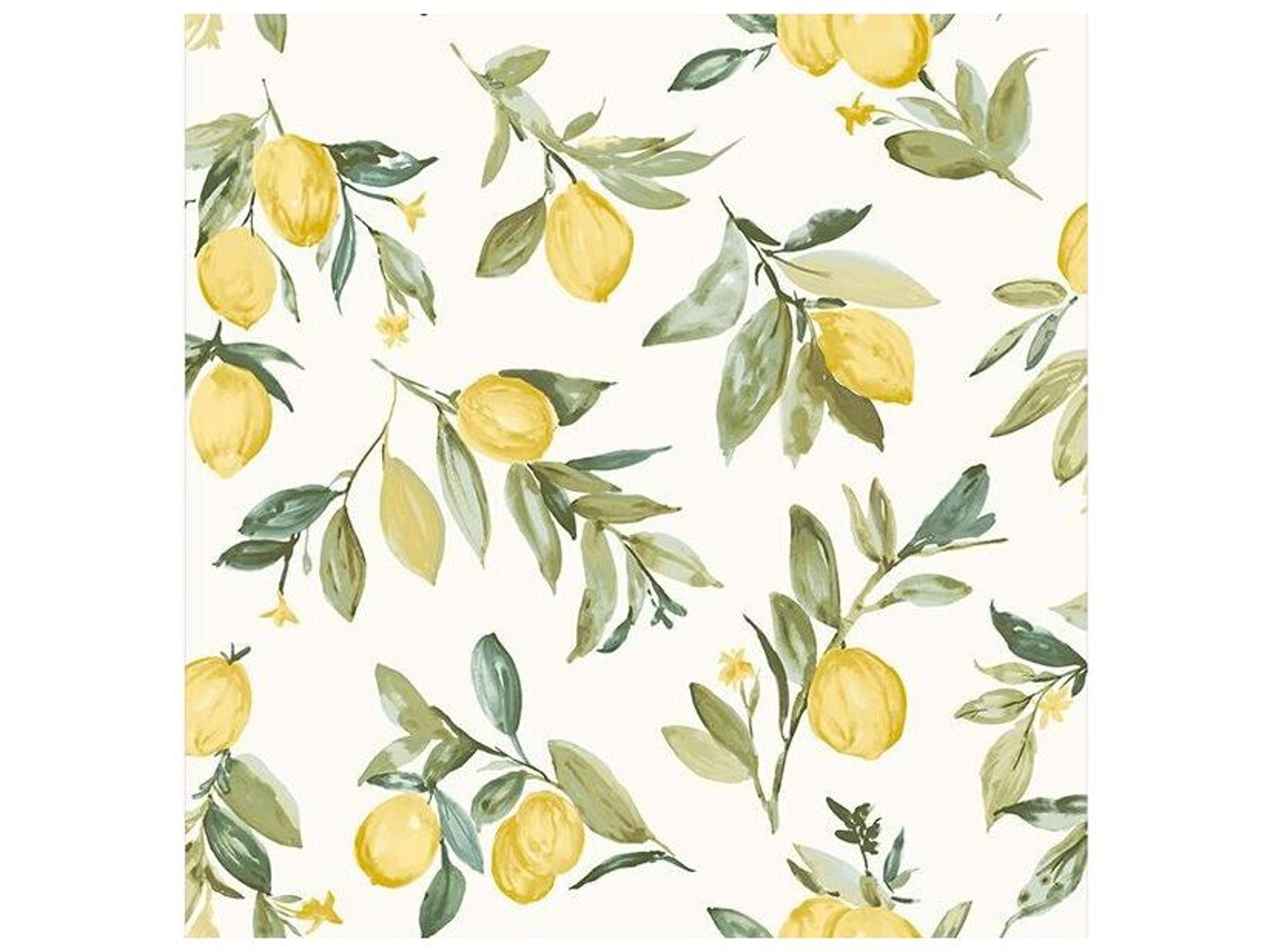 Brewster Home Fashions Fresh Start Kitchen & Bath Limon Yellow Fruit Wallpaper