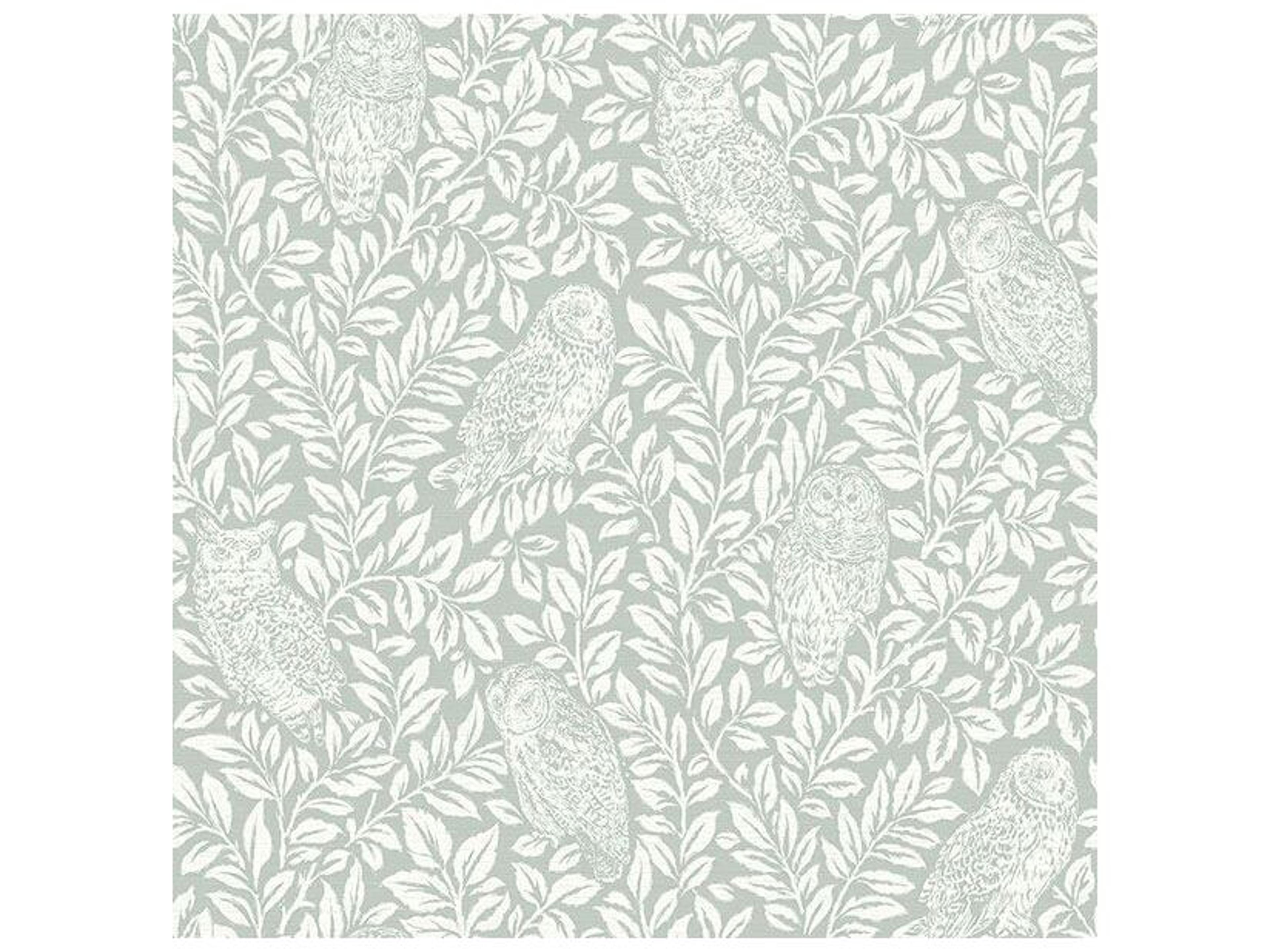 Brewster Home Fashions Chesapeake Parliament Teal Owl Wallpaper