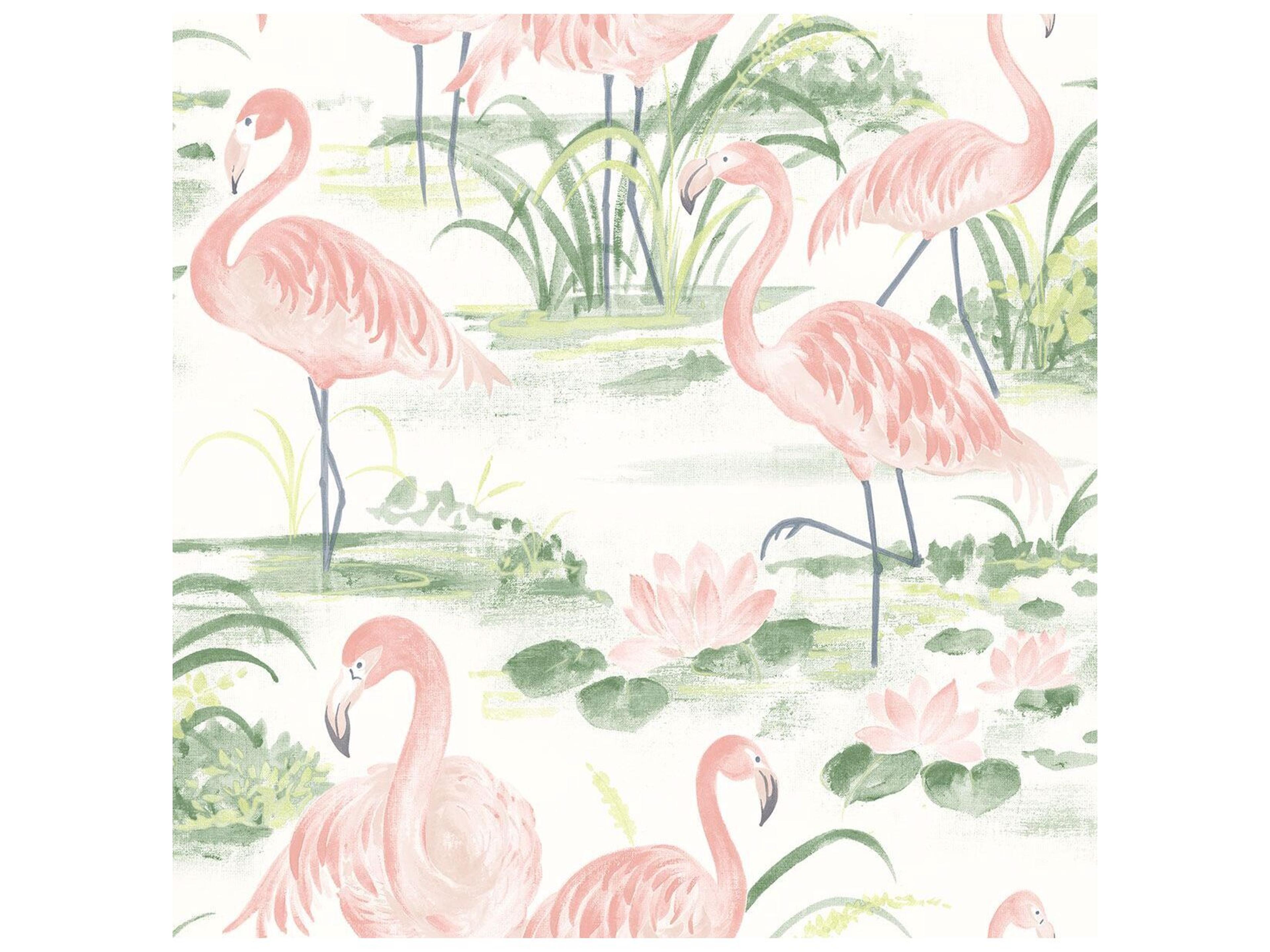 Brewster Home Fashions Chesapeake Everglades Coral Flamingos Wallpaper