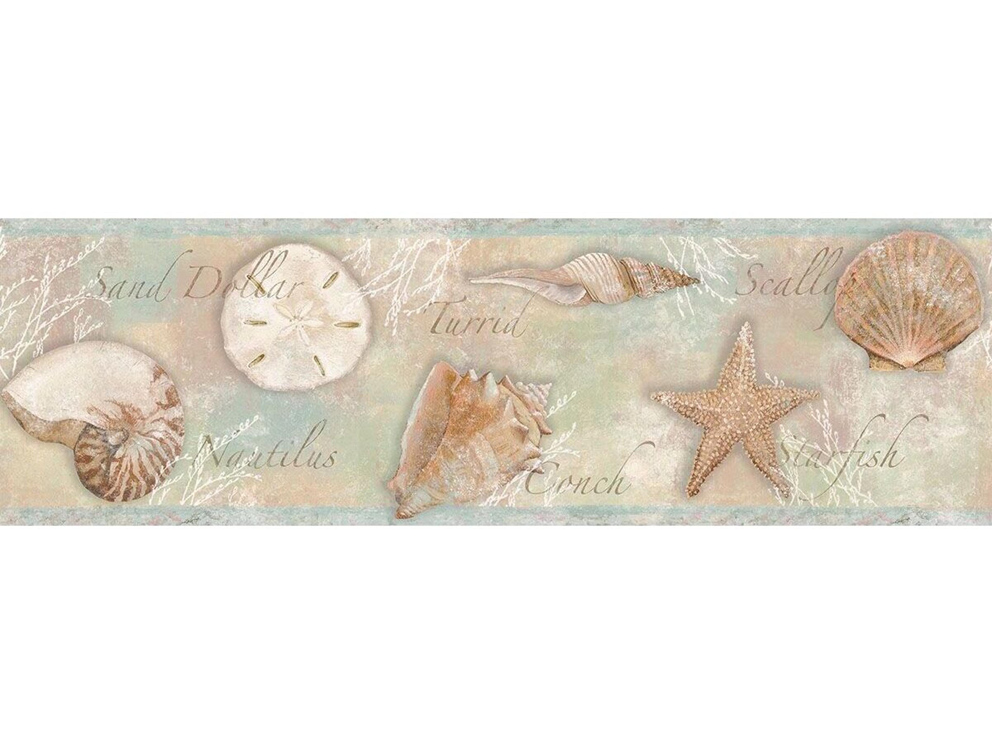 Brewster Home Fashions Chesapeake Quinten Brown Shells Border