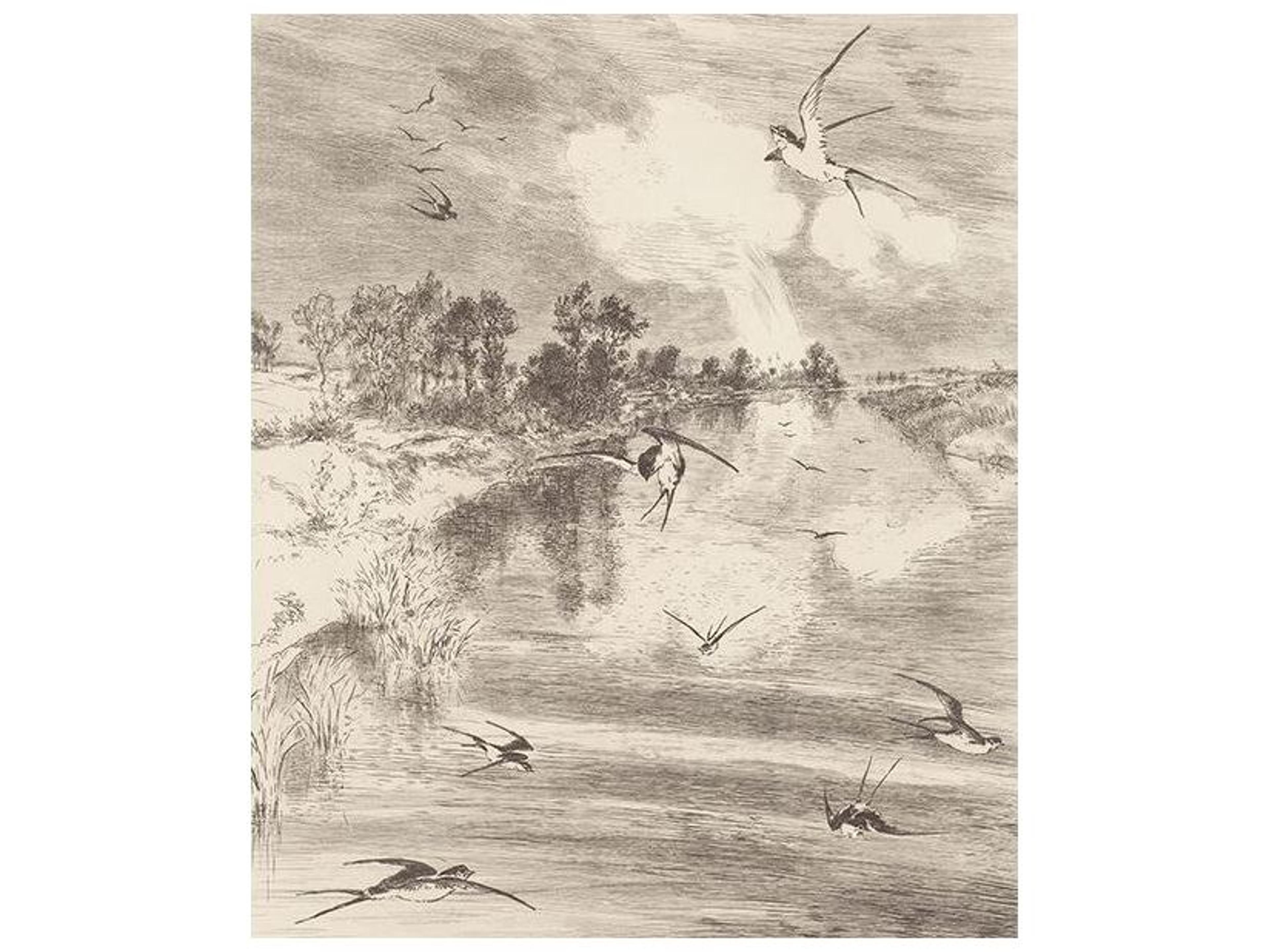 Brewster Home Fashions Eijffinger