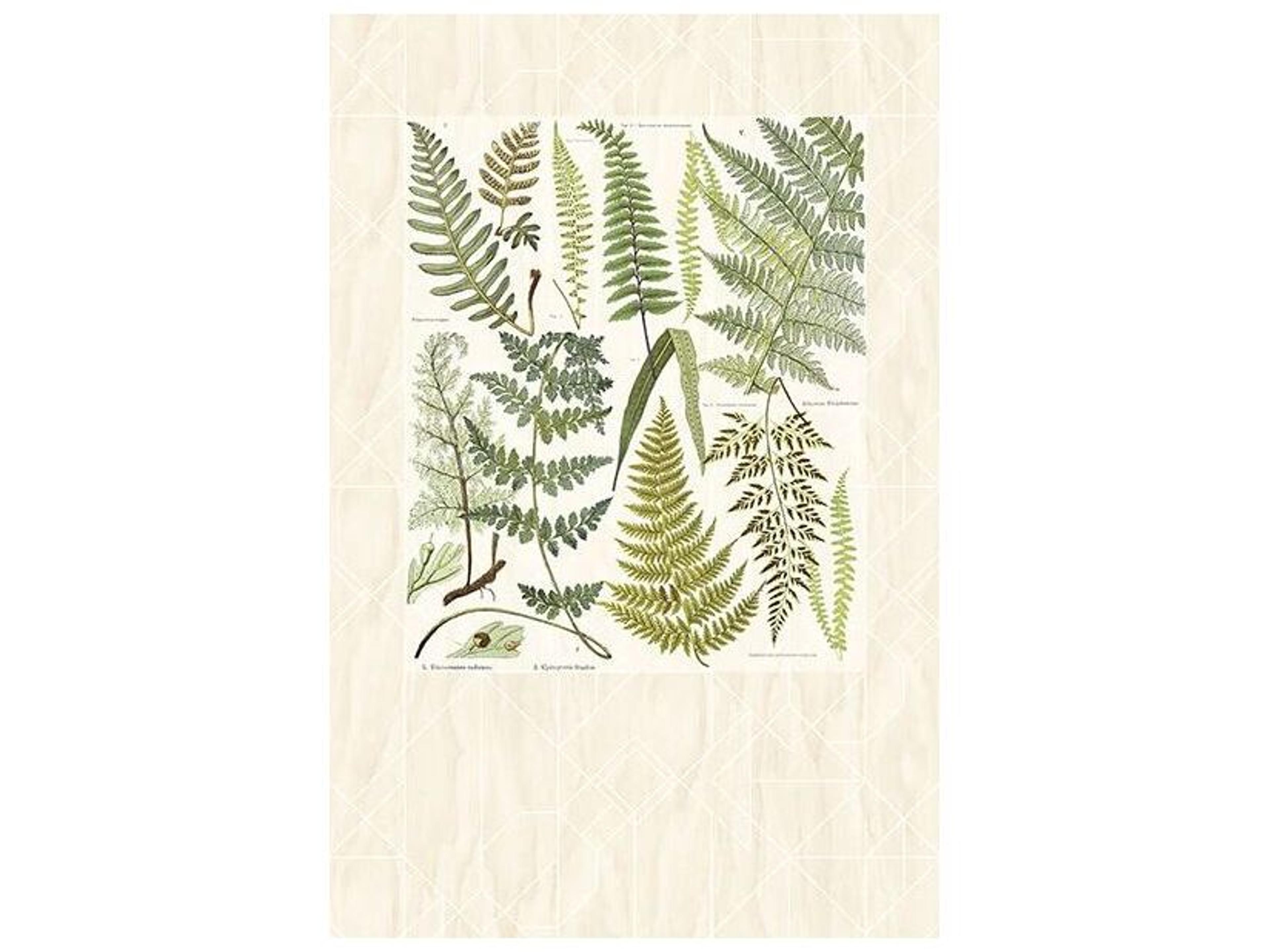 Brewster Home Fashions Eijffinger