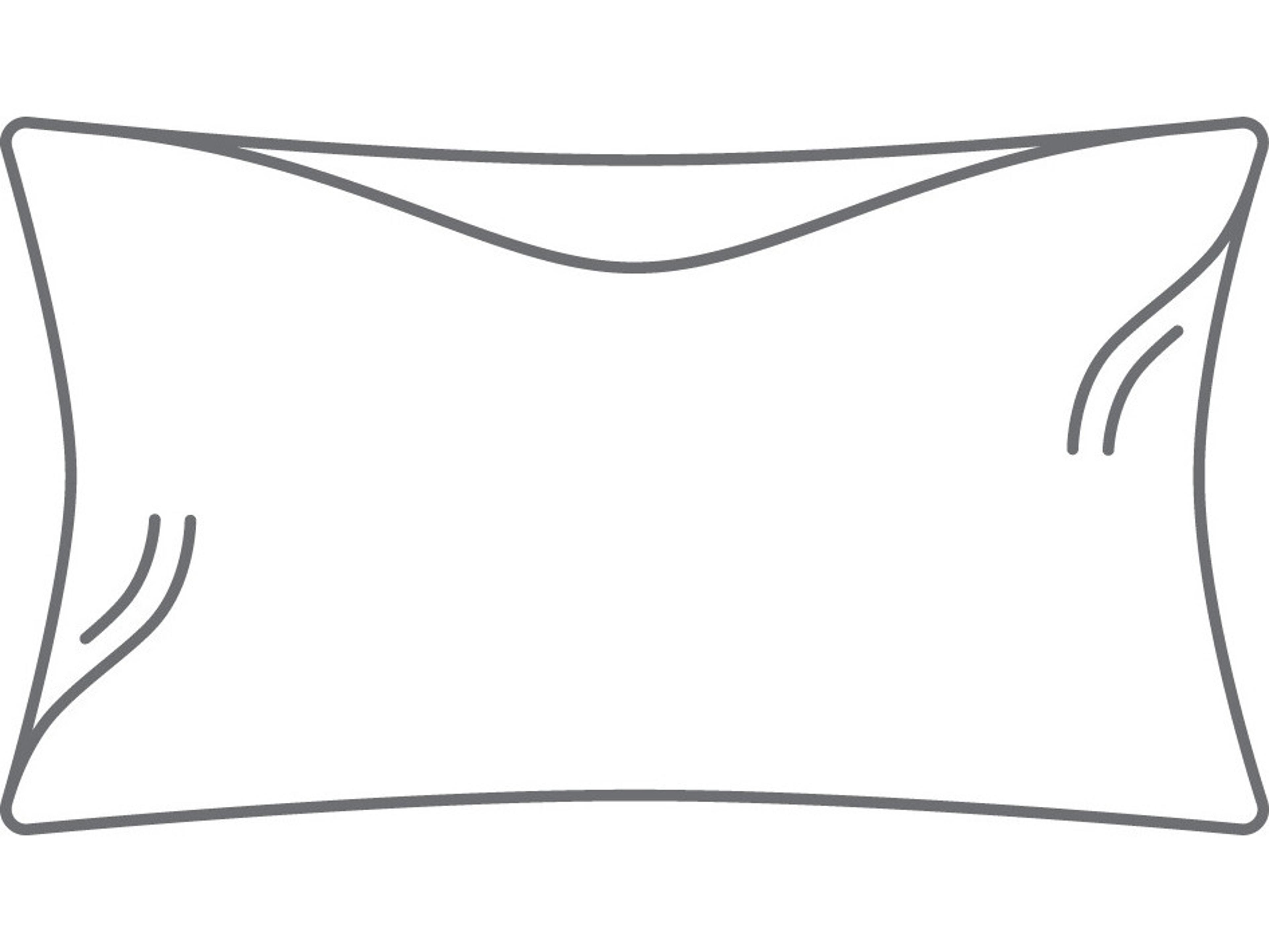 Berlin Gardens Lily Hive 13" x 20" Fitted Down Feather Throw Pillow