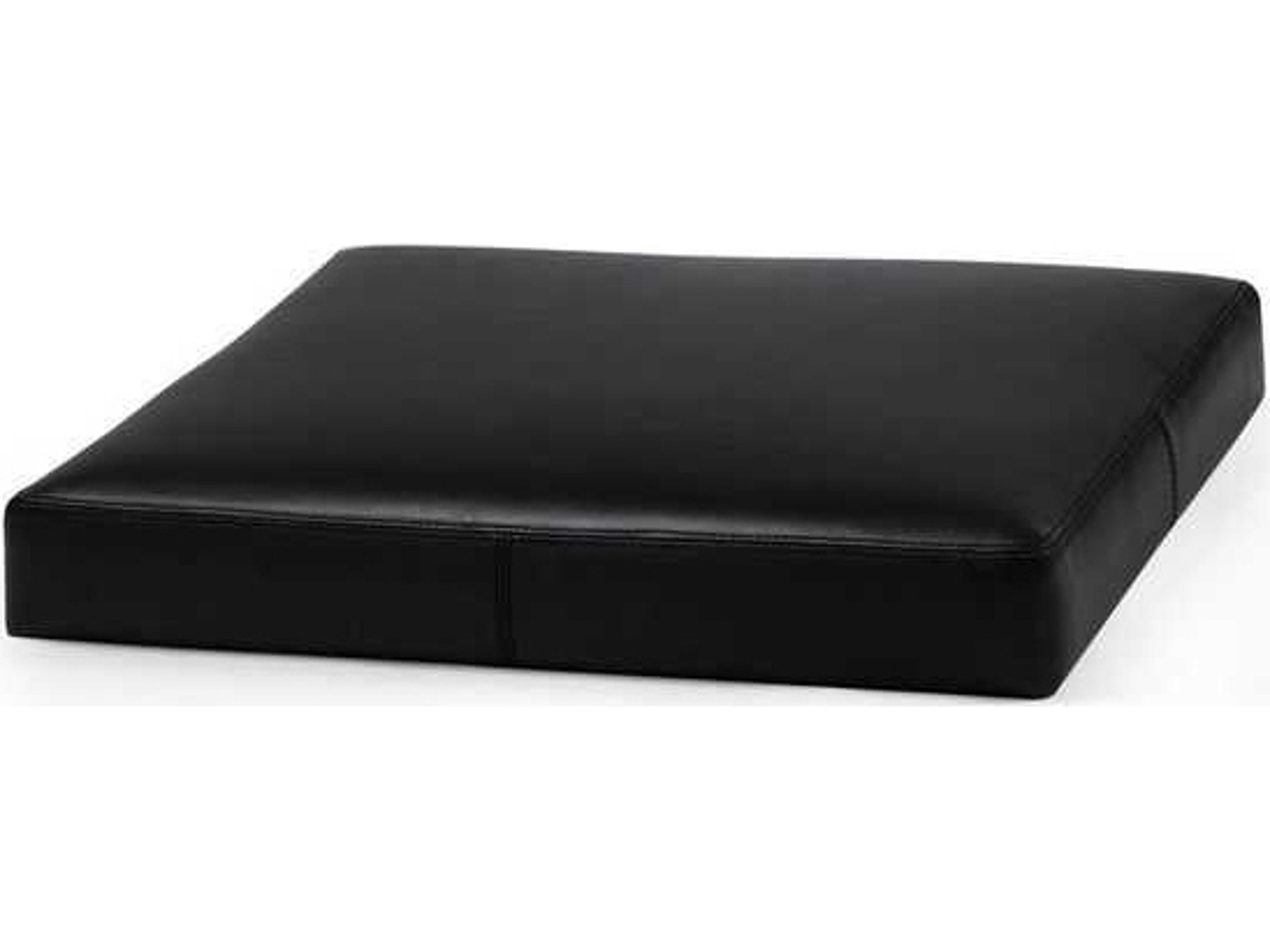 Villa & House Odeon Black 22" Cushion