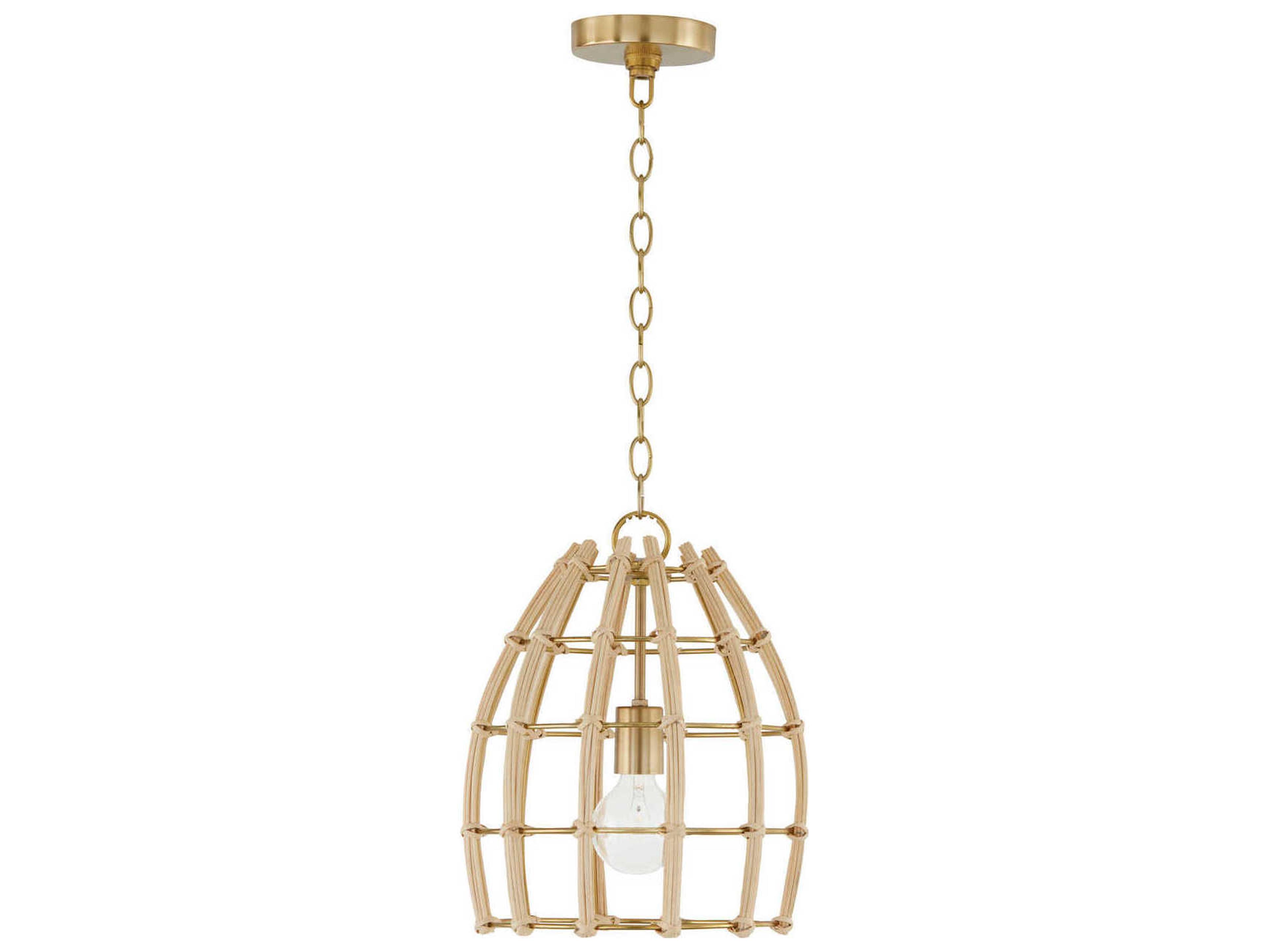 Capital Lighting Wren 1-Light Matte Brass Dome Mini Pendant
