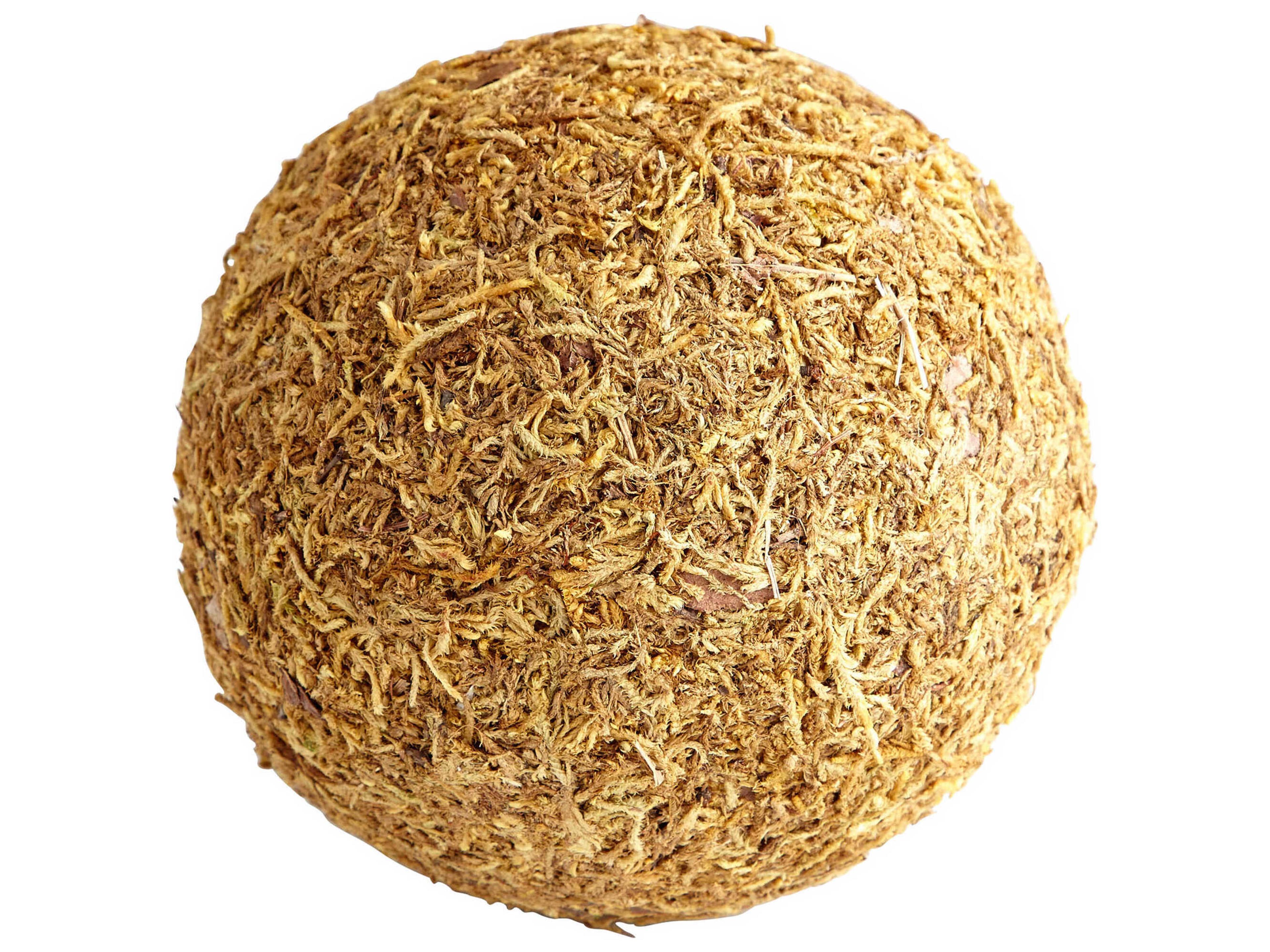 Cyan Design Brown Moss St. Augustine Filler