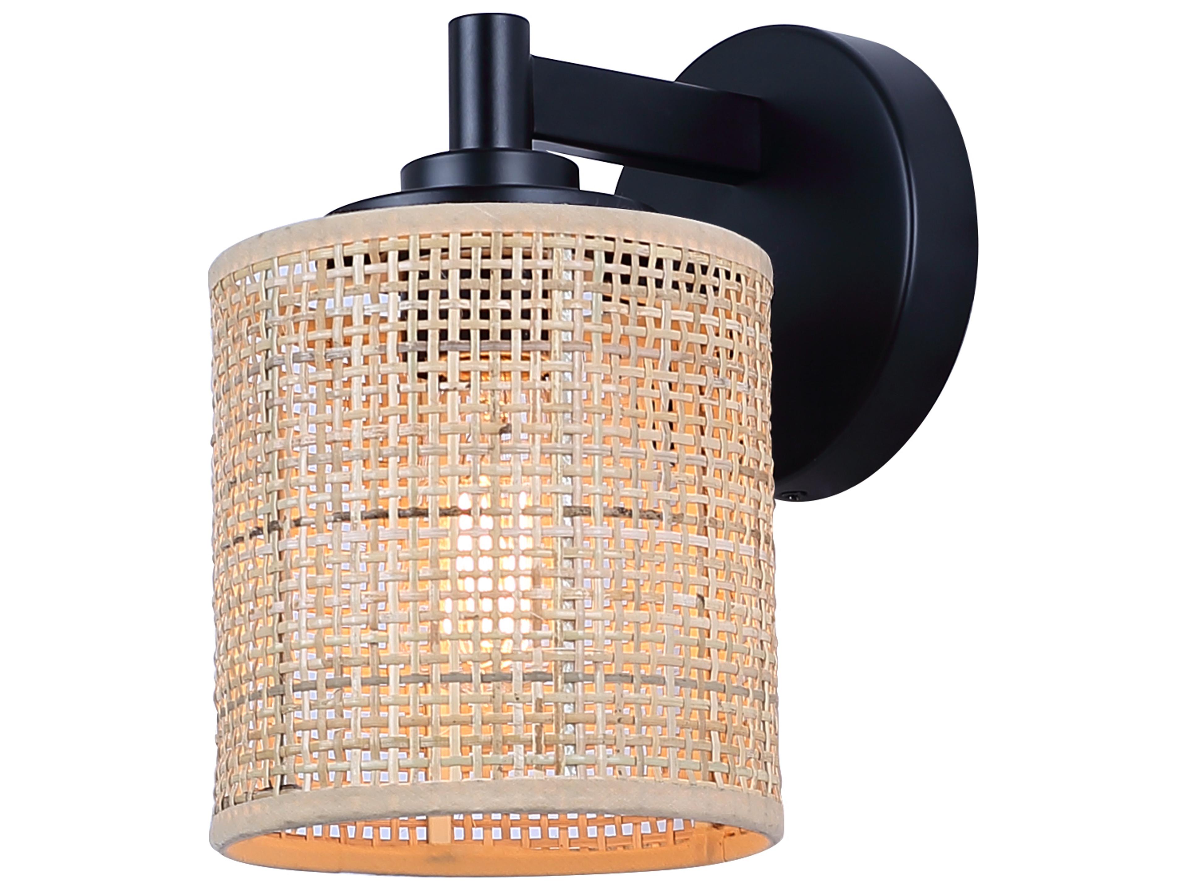 Canarm Meadow 1 -light Black Vanity Light