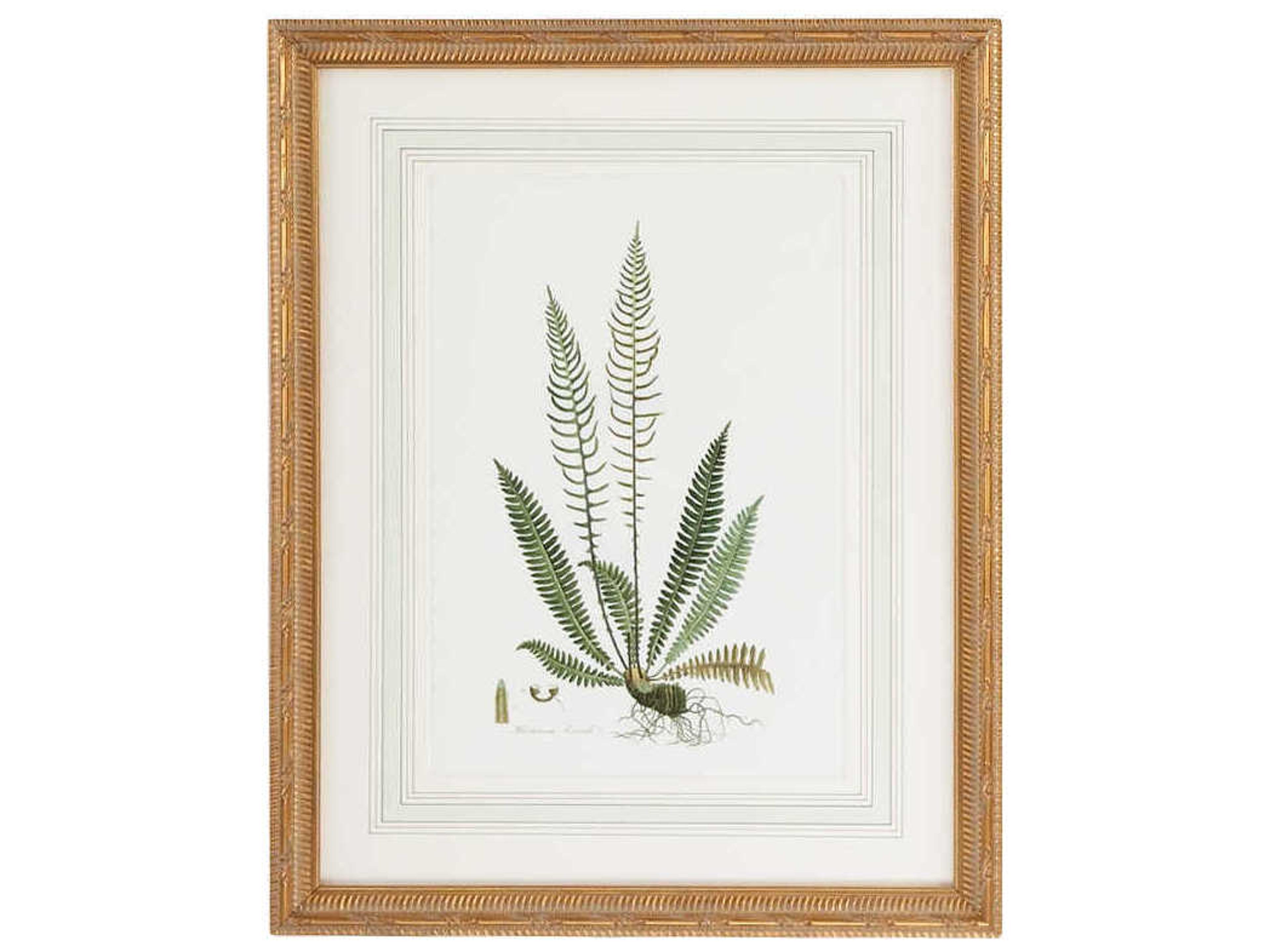 Chelsea House Curtis Ferns-III Wall Art