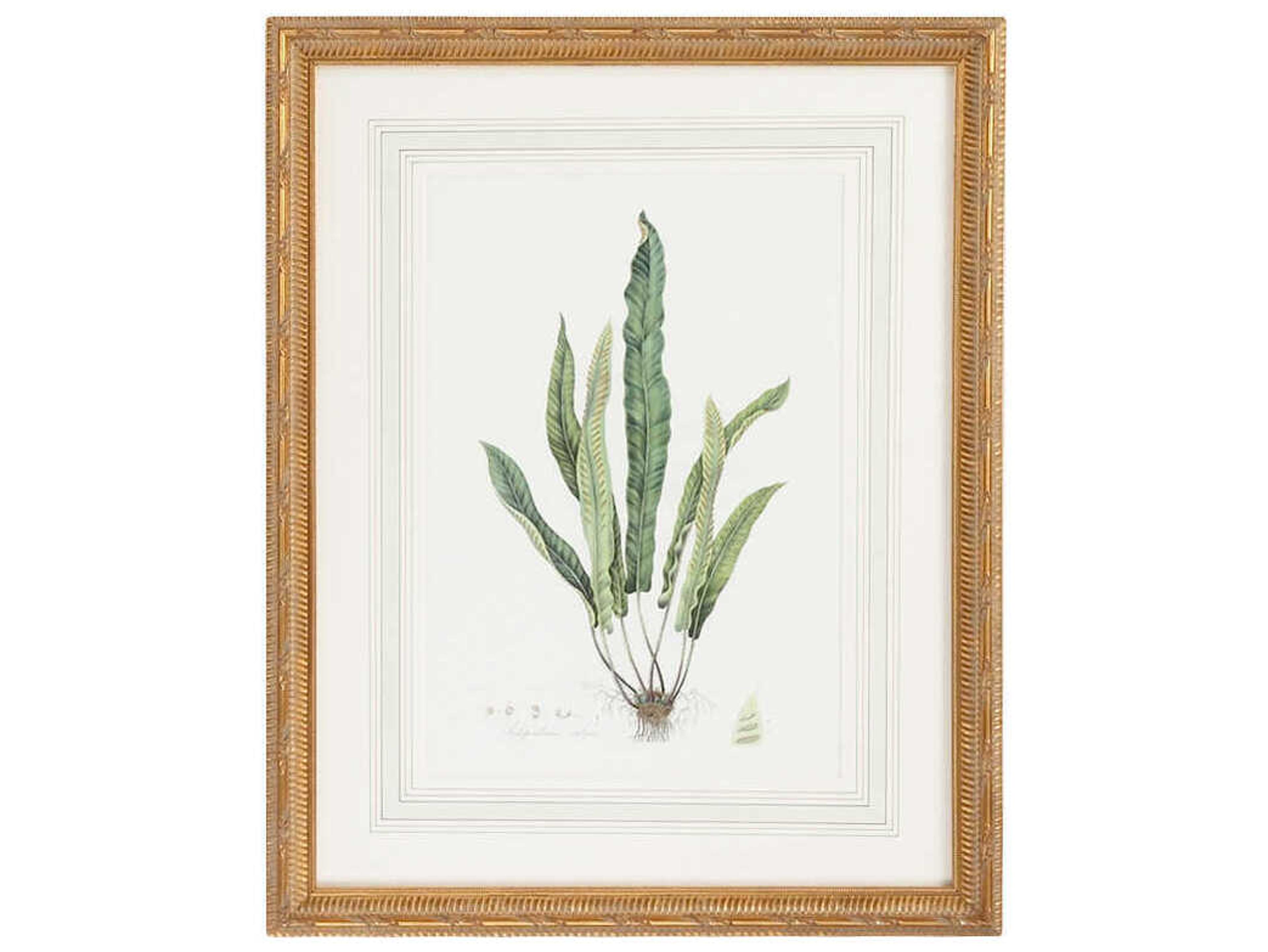 Chelsea House Curtis Ferns-IV Wall Art