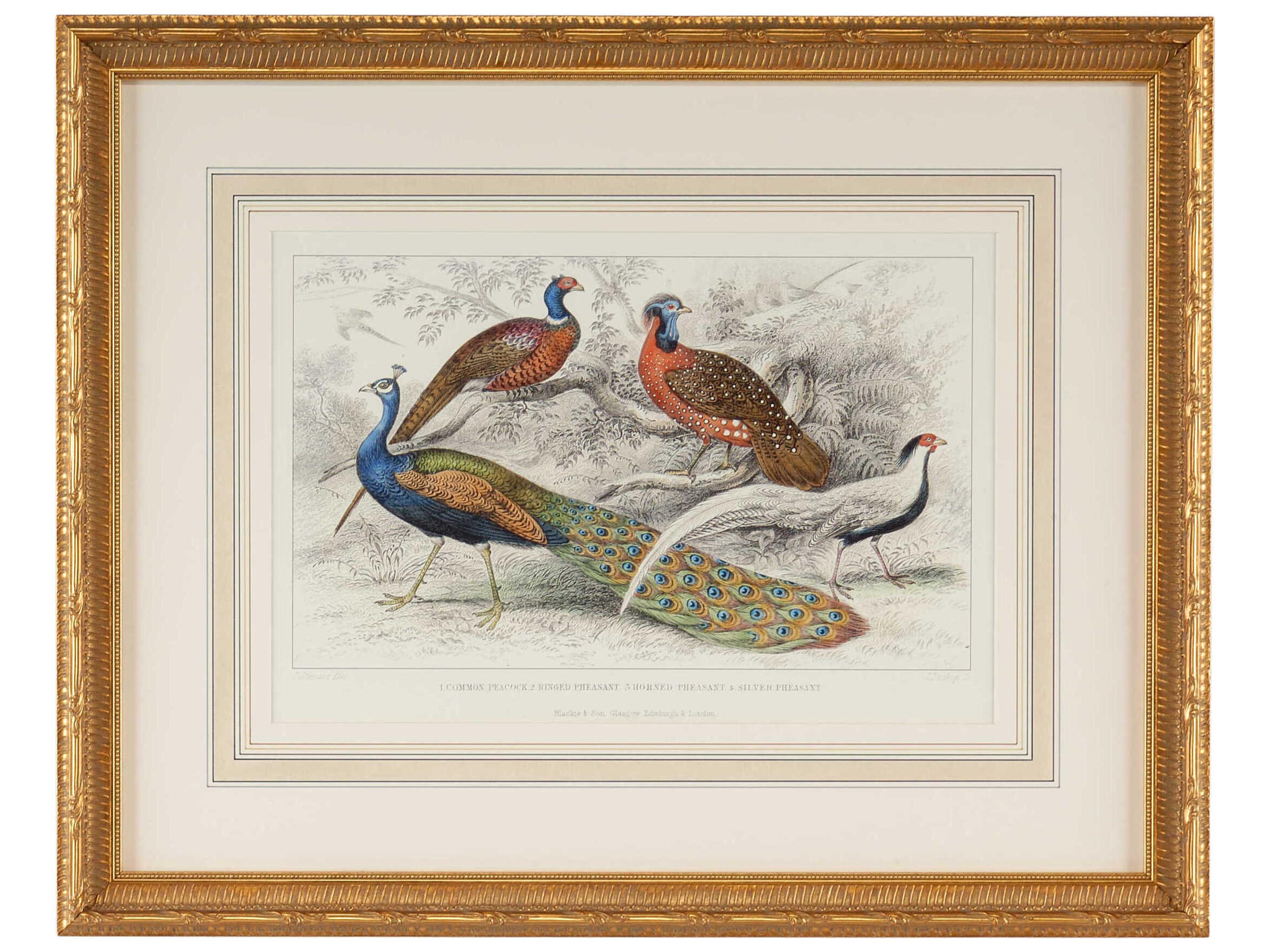 Chelsea House Peacock & Pheasants