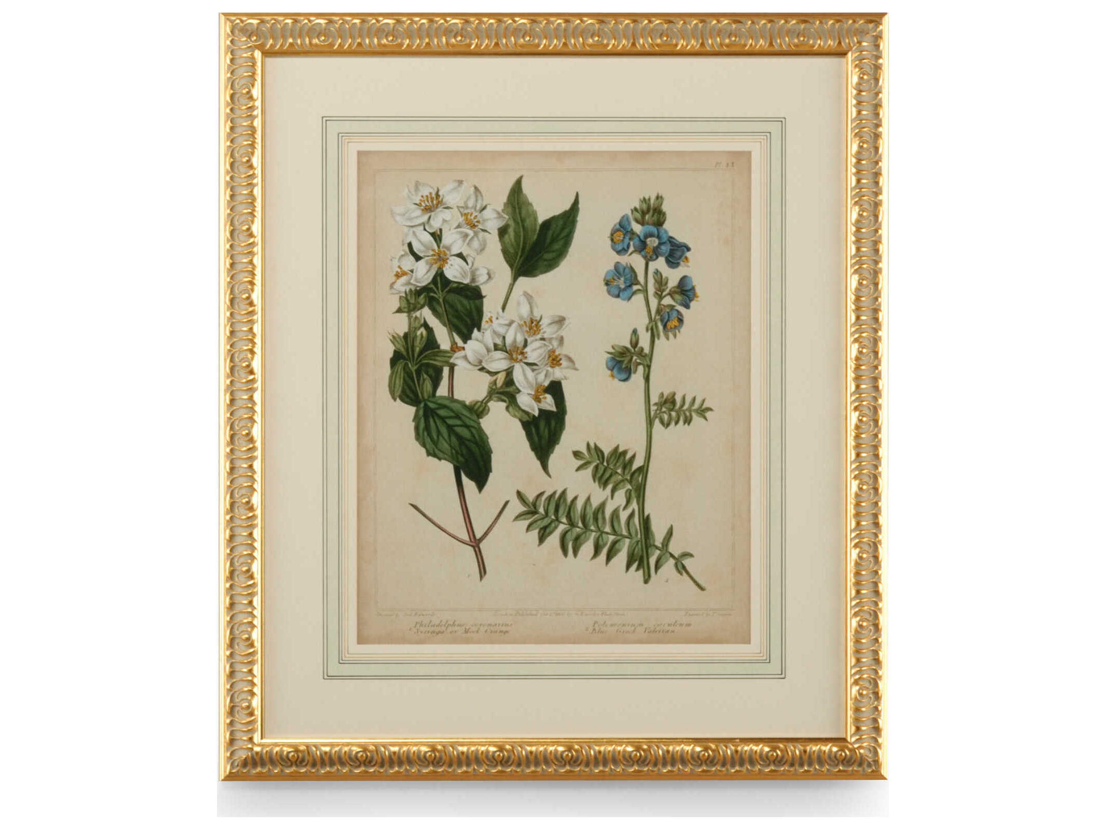 Chelsea House Cottage Florals I