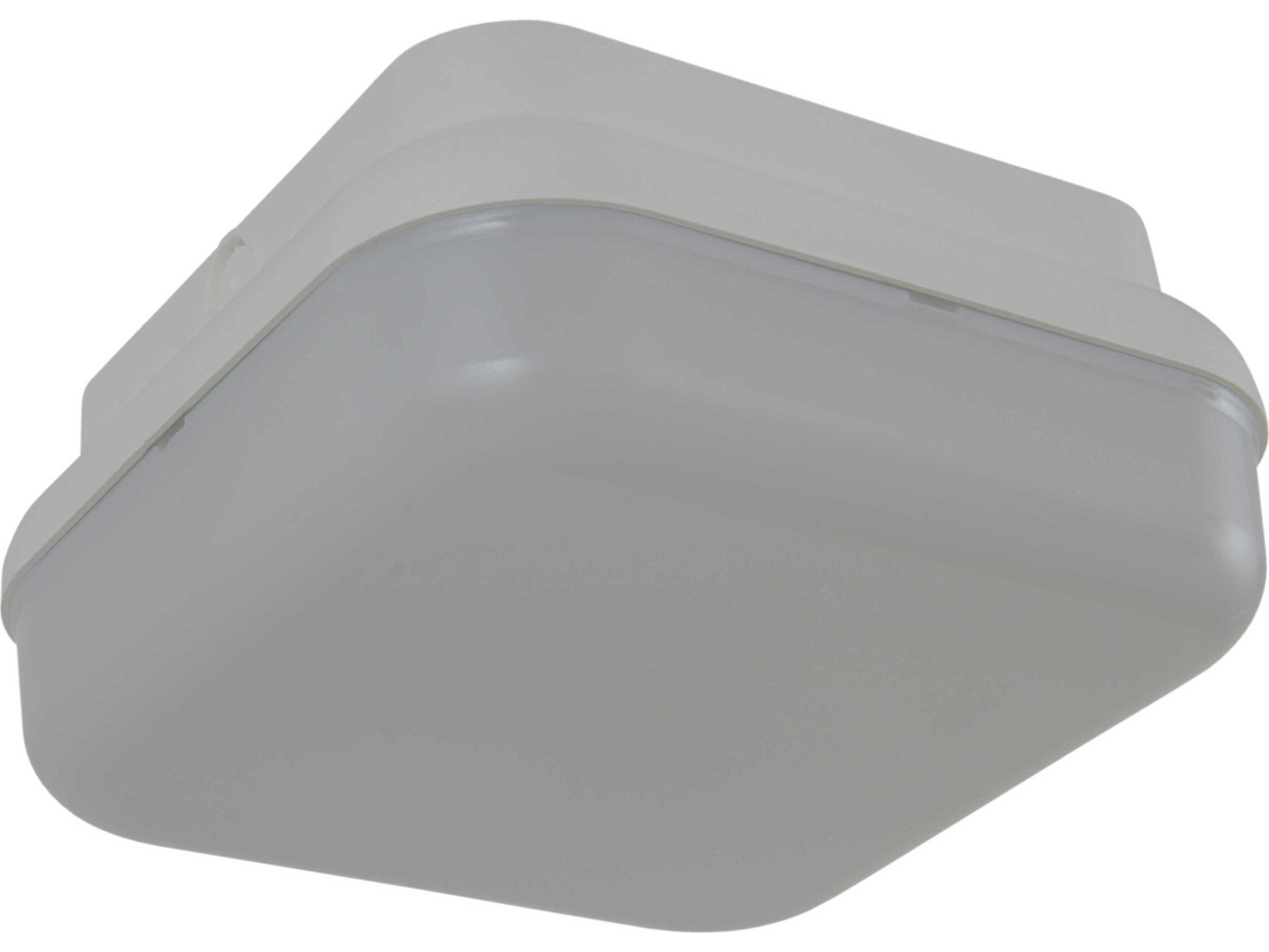 Craftmade Resilience 2 - Light Outdoor Ceiling Light