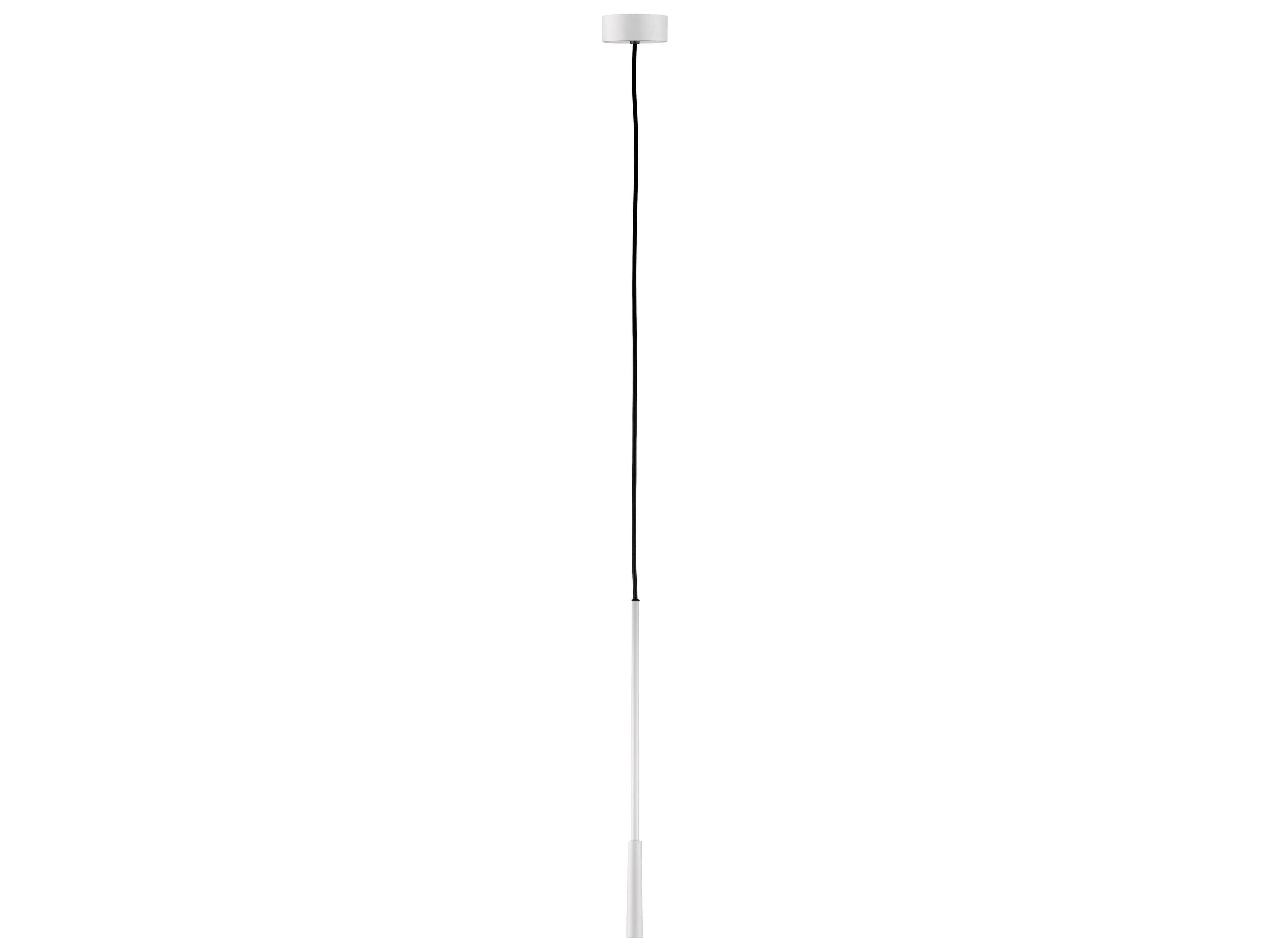 Carpyen Pippet White Cylinder Mini Pendant